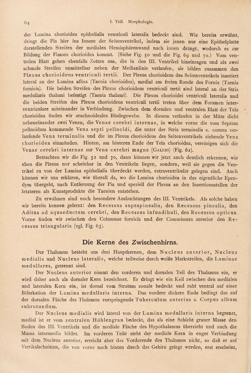 der Lamina chorioidea epithelialis ventriculi lateralis bedeckt sind. Wie bereits erwähnt, dringt die Pia hier ins Innere der Seitenventrikel, indem sie jenen nur eine Epithelplatte darstellenden Streifen der medialen Hemisphärenwand nach innen drängt, wodurch es zur Bildung der Fissura chorioidea kommt. (Siehe Fig. 50 und die Fig. 69 und 70.) Vom ven¬ tralen Blatt gehen ebenfalls Zotten aus, die in den III. Ventrikel hineinragen und als zwei schmale Streifen unmittelbar neben der Medianlinie verlaufen, sie bilden zusammen den Plexus chorioideus ventriculi tertii. Der Plexus chorioideus des Seitenventrikels inseriert lateral an der Lamina affixa (Taenia chorioidea), medial am freien Rande des Fornix (Taenia fornicis). Die beiden Streifen-des Plexus chorioideus ventriculi tertii sind lateral an der Stria medullaris thalami befestigt (Taenia thalami). Die Plexus chorioidei ventriculi lateralis und die beiden Streifen des Plexus chorioideus ventriculi tertii treten über dem Foramen inter- ventriculare miteinander in Verbindung. Zwischen dem dorsalen und ventralen Blatt der Tela chorioidea finden wir arachnoideales Bindegewebe. In diesem verlaufen in der Mitte dicht nebeneinander zwei Venen, die Venae cerebri internae, in welche vorne die vom Septum pellucidum kommende Vena septi pellucidi, die unter der Stria terminalis s. cornea ver¬ laufende Vena terminalis und die im Plexus chorioideus des Seitenventrikels ziehende Vena chorioidea einmünden. Hinten, am hinteren Ende der Tela chorioidea, vereinigen sich die Venae cerebri internae zur Vena cerebri magna (Galeni) (Fig. 62). Betrachten wir die Fig. 52 und 70, dann können wir jetzt auch deutlich erkennen, wie eben die Plexus nur scheinbar in den Ventrikeln liegen, sondern, weil sie gegen die Ven¬ trikel zu von der Lamina epithelialis überdeckt werden, extraventrikulär gelegen sind. Auch können wir uns erklären, wie überall da, wo die Lamina chorioidea in das eigentliche Epen- dym übergeht, nach Entfernung der Pia und speziell der Plexus an den Insertionsstellen der letzteren als Kunstprodukte die Taenien entstehen. Zu erwähnen sind noch besondere Ausbuchtungen des III. Ventrikels. Als solche haben wir bereits kennen gelernt: den Recessus suprapinealis, den Recessus pinealis, den Aditus ad aquaeductum cerebri, den Recessus infundibuli, den Recessus opticus. Vorne finden wir zwischen den Columnae fornicis und der Commissura anterior den Re¬ cessus triangularis (vgl. Fig. 63). Die Kerne des Zwischenhirns. Der Thalamus besteht aus drei Hauptkernen, dem Nucleus anterior, Nucleus medialis und Nucleus lateralis, welche teilweise durch weiße Markstreifen, die Laminae medulläres, getrennt sind. Der Nucleus anterior nimmt den vorderen und dorsalen Teil des Thalamus ein, er wird daher auch als dorsaler Kern bezeichnet. Er dringt wie ein Keil zwischen den medialen und lateralen Kern ein, ist dorsal vom Stratum zonale bedeckt und ruht ventral auf einer Bifurkation der Lamina medullaris interna. Das vordere dickere Ende bedingt das auf der dorsalen Fläche des Thalamus vorspringende Tuberculum anterius s. Corpus album subrotundum. Der Nucleus medialis wird lateral von der Lamina medullaris interna begrenzt, medial ist er vom zentralen Höhlengrau bedeckt, das als eine Schicht grauer Masse den Boden des III. Ventrikels und die mediale Fläche des Hypothalamus überzieht und auch die Massa intermedia bildet. Im vorderen Teile steht der mediale Kern in enger Verbindung mit dem Nucleus anterior, erreicht aber das Vorderende des Thalamus nicht, so daß er auf Vertikalschnitten, die von vorne nach hinten durch das Gehirn gelegt werden, erst erscheint,