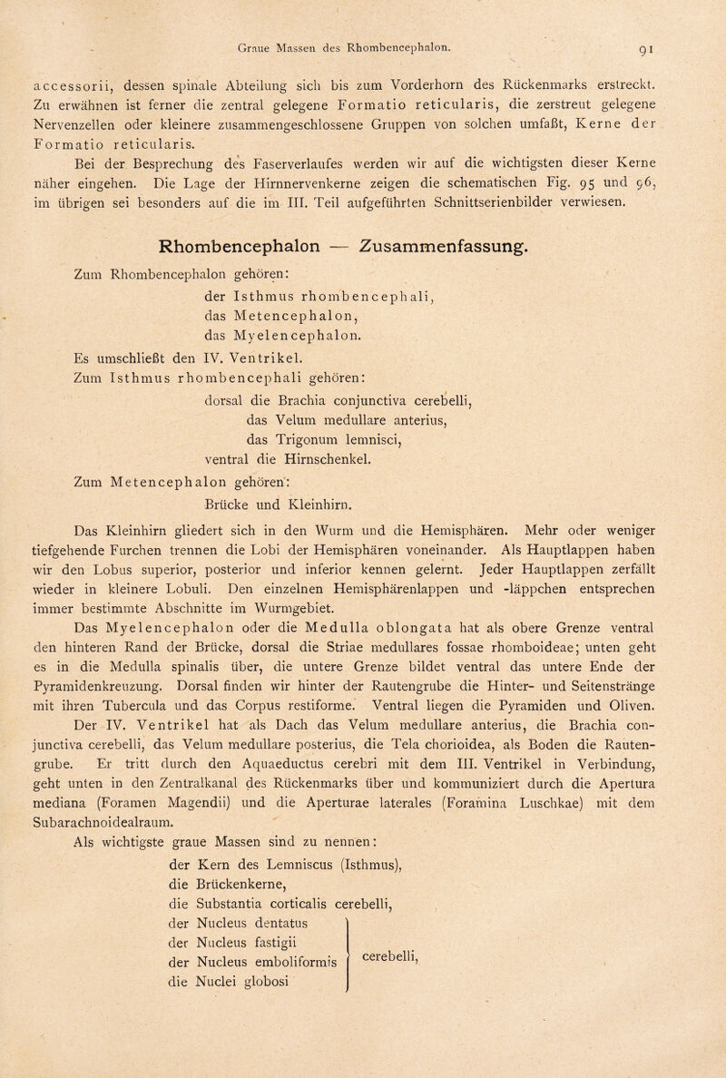 accessorii, dessen spinale Abteilung sich bis zum Vorderhorn des Rückenmarks erstreckt. Zu erwähnen ist ferner die zentral gelegene Formatio reticularis, die zerstreut gelegene Nervenzellen oder kleinere zusammengeschlossene Gruppen von solchen umfaßt, Kerne der Formatio reticularis. Bei der Besprechung des Faserverlaufes werden wir auf die wichtigsten dieser Kerne näher eingehen. Die Lage der Hirnnervenkerne zeigen die schematischen Fig. 95 und 96, im übrigen sei besonders auf die im III. Teil aufgeführten Schnittserienbilder verwiesen. Rhombencephalon — Zusammenfassung. Zum Rhombencephalon gehören: der Isthmus rhombencephali, das Metencephalon, das Myeiencephalon. Es umschließt den IV. Ventrikel. Zum Isthmus rhombencephali gehören: dorsal die Brachia conjunctiva cerebelli, das Velum medulläre anterius, das Trigonum lemnisci, ventral die Hirnschenkel. Zum Metencephalon gehören: Brücke und Kleinhirn. Das Kleinhirn gliedert sich in den Wurm und die Hemisphären. Mehr oder weniger tiefgehende Furchen trennen die Lobi der Hemisphären voneinander. Als Hauptlappen haben wir den Lobus superior, posterior und inferior kennen gelernt. Jeder Hauptlappen zerfällt wieder in kleinere Lobuli. Den einzelnen Hemisphärenlappen und -läppchen entsprechen immer bestimmte Abschnitte im Wurmgebiet. Das Myelencephalon oder die Medulla oblongata hat als obere Grenze ventral den hinteren Rand der Brücke, dorsal die Striae medulläres fossae rhomboideae; unten geht es in die Medulla spinalis über, die untere Grenze bildet ventral das untere Ende der Pyramidenkreuzung. Dorsal finden wir hinter der Rautengrube die Hinter- und Seitenstränge mit ihren Tubercula und das Corpus restiforme. Ventral liegen die Pyramiden und Oliven. Der IV. Ventrikel hat als Dach das Velum medulläre anterius, die Brachia con¬ junctiva cerebelli, das Velum medulläre posterius, die Tela chorioidea, als Boden die Rauten¬ grube. Er tritt durch den Aquaeductus cerebri mit dem III. Ventrikel in Verbindung, geht unten in den Zentralkanal des Rückenmarks über und kommuniziert durch die Apertura mediana (Foramen Magendii) und die Aperturae laterales (Foramina Luschkae) mit dem Subarachnoidealraum. Als wichtigste graue Massen sind zu nennen: der Kern des Lemniscus (Isthmus), die Brückenkerne, die Substantia corticalis cerebelli, der Nucleus dentatus der Nucleus fastigii der Nucleus emboliformis die Nuclei globosi cerebelli,