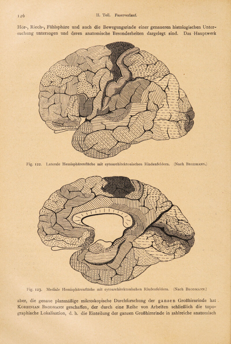 Hör-, Riech-, Fühlsphäre und auch die Bewegungsrinde einer genaueren histologischen Unter¬ suchung unterzogen und deren anatomische Besonderheiten dargelegt sind. Das Hauptwerk Fig. 122. Laterale Hemisphärenfläche mit cytoarchitektonischen Rindenfeldern. (Nach Brodmann.) Fig. 123. Mediale Hemisphärenfläche mit cytoarchitektonischen Rindenfeldern. (Nach Brodmann.) aber, die genaue planmäßige mikroskopische Durchforschung der ganzen Großhirnrinde hat - Korbinian Brodmann geschaffen, der durch eine Reihe von Arbeiten schließlich die topo¬ graphische Lokalisation, d. h. die Einteilung der ganzen Großhirnrinde in zahlreiche anatomisch