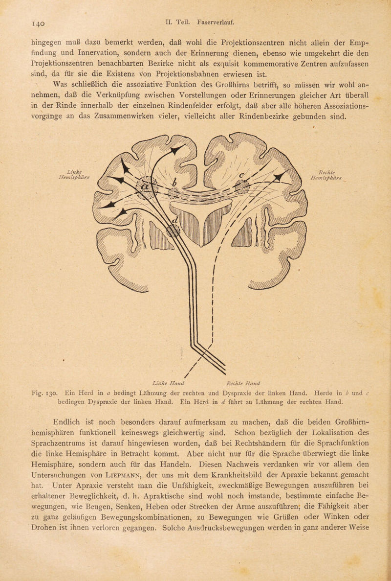 hingegen muß dazu bemerkt werden, daß wohl die Projektionszentren nicht allein der Emp¬ findung und Innervation, sondern auch der Erinnerung dienen, ebenso wie umgekehrt die den Projektionszentren benachbarten Bezirke nicht als exquisit kommemorative Zentren aufzufassen sind, da für sie die Existenz von Projektionsbahnen erwiesen ist. Was schließlich die assoziative Funktion des Großhirns betrifft, so müssen wir wohl an¬ nehmen, daß die Verknüpfung zwischen Vorstellungen oder Erinnerungen gleicher Art überall in der Rinde innerhalb der einzelnen Rindenfelder erfolgt, daß aber alle höheren Assoziations¬ vorgänge an das Zusammenwirken vieler, vielleicht aller Rindenbezirke gebunden sind. Fig. 130. Ein Herd in a bedingt Lähmung der rechten und Dyspraxie der linken Hand. Herde in b und c bedingen Dyspraxie der linken Hand. Ein Herd in d führt zu Lähmung der rechten Hand. Endlich ist noch besonders darauf aufmerksam zu machen, daß die beiden Großhirn¬ hemisphären funktionell keineswegs gleichwertig sind. Schon bezüglich der Lokalisation des Sprachzentrums ist darauf hingewiesen worden, daß bei Rechtshändern für die Sprachfunktion die linke Hemisphäre in Betracht kommt. Aber nicht nur für die Sprache überwiegt die linke Hemisphäre, sondern auch für das Handeln. Diesen Nachweis verdanken wir vor allem den Untersuchungen von Liepmann, der uns mit dem Krankheitsbild der Apraxie bekannt gemacht hat. Unter Apraxie versteht man die Unfähigkeit, zweckmäßige Bewegungen auszuführen bei erhaltener Beweglichkeit, d. h. Apraktische sind wohl noch imstande, bestimmte einfache Be¬ wegungen, wie Beugen, Senken, Heben oder Strecken der Arme auszuführen', die Fähigkeit aber zu ganz geläufigen Bewegungskombinationen, zu Bewegungen wie Grüßen oder Winken oder Drohen ist ihnen verloren gegangen. Solche Ausdrucksbewegungen werden in ganz anderer Weise