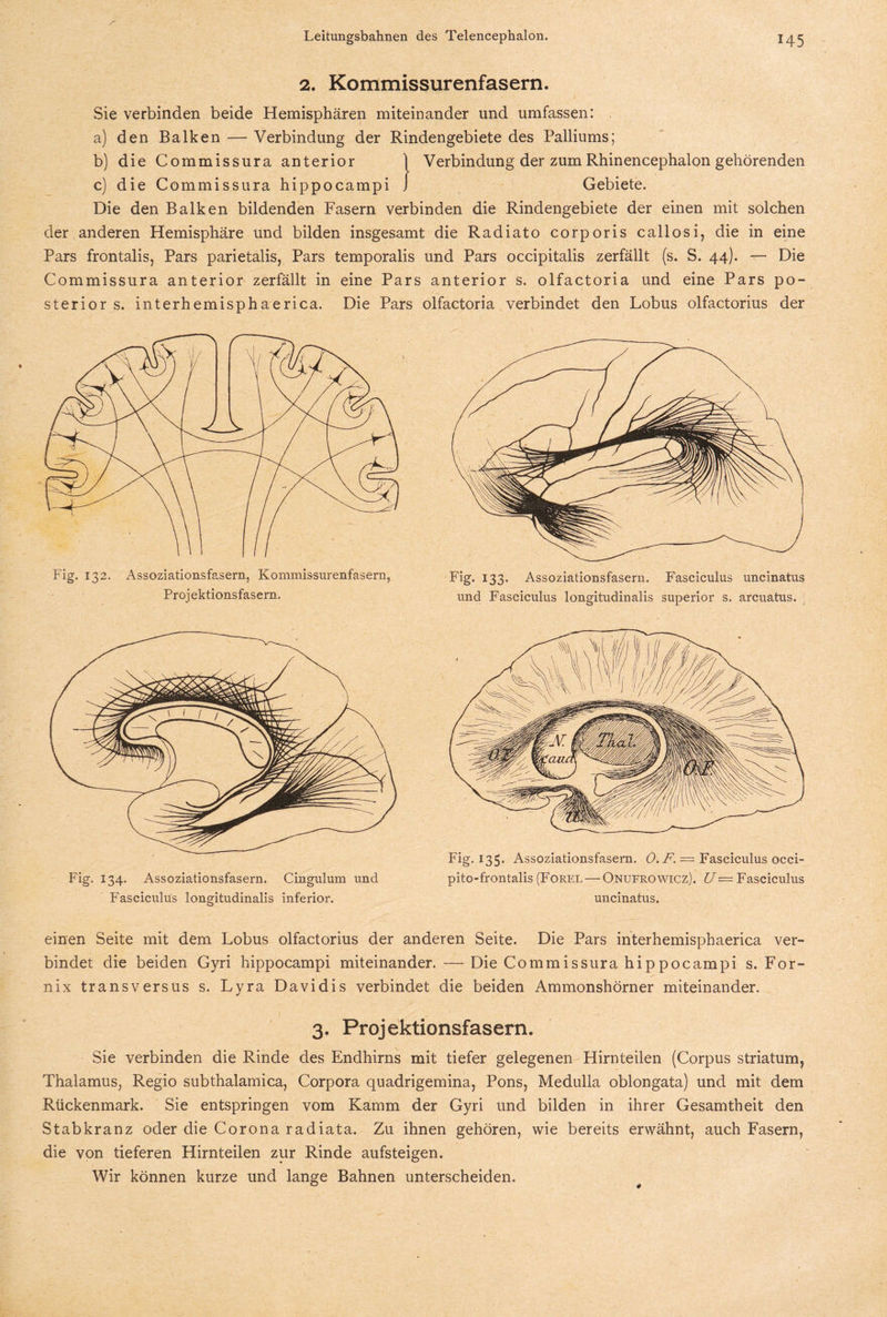 2. Kommissurenfasern. Sie verbinden beide Hemisphären miteinander und umfassen: a) den Balken — Verbindung der Rindengebiete des Palliums; b) die Commissura anterior 1 Verbindung der zum Rhinencephalon gehörenden c) die Commissura hippocampi J Gebiete. Die den Balken bildenden Fasern verbinden die Rindengebiete der einen mit solchen der anderen Hemisphäre und bilden insgesamt die Radiato corporis callosi, die in eine Pars frontalis, Pars parietalis, Pars temporalis und Pars occipitalis zerfällt (s. S. 44). — Die Commissura anterior zerfällt in eine Pars anterior s. olfactoria und eine Pars po¬ sterior s. interhemisphaerica. Die Pars olfactoria verbindet den Lobus olfactorius der Fig. 132. Assoziationsfasern, Kommissurenfasern, Projektionsfasern. Hg- I33* Assoziationsfasern. Fasciculus uncinatus und Fasciculus longitudinalis superior s. arcuatus. Fig. 134. Assoziationsfasern. Cingulum und Fasciculus longitudinalis inferior. Fig. 135* Assoziationsfasern. 0. F. = Fasciculus occi- pito-frontalis (Forel — Onufrowicz). U — Fasciculus uncinatus. einen Seite mit dem Lobus olfactorius der anderen Seite. Die Pars interhemisphaerica ver¬ bindet die beiden Gyri hippocampi miteinander. —Die Commissura hippocampi s. For- nix transversus s. Lyra Davidis verbindet die beiden Ammonshörner miteinander. 3. Projektionsfasern. Sie verbinden die Rinde des Endhirns mit tiefer gelegenen Hirnteilen (Corpus striatum, Thalamus, Regio subthalamica, Corpora quadrigemina, Pons, Medulla oblongata) und mit dem Rückenmark. Sie entspringen vom Kamm der Gyri und bilden in ihrer Gesamtheit den Stabkranz oder die Corona radiata. Zu ihnen gehören, wie bereits erwähnt, auch Fasern, die von tieferen Hirnteilen zur Rinde aufsteigen. Wir können kurze und lange Bahnen unterscheiden.