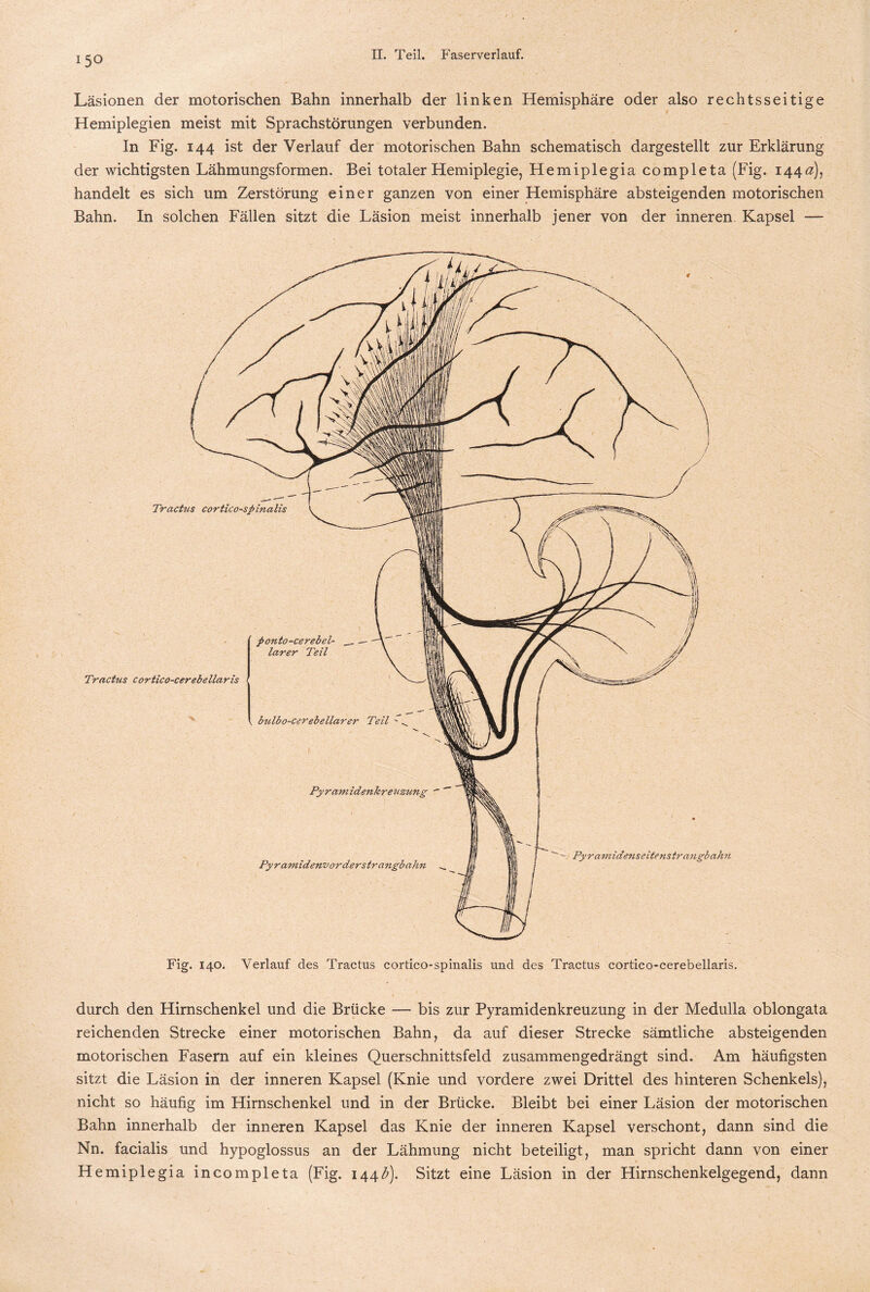 15° Läsionen der motorischen Bahn innerhalb der linken Hemisphäre oder also rechtsseitige Hemiplegien meist mit Sprachstörungen verbunden. In Fig. 144 ist der Verlauf der motorischen Bahn schematisch dargestellt zur Erklärung der wichtigsten Lähmungsformen. Bei totaler Hemiplegie, Hemiplegia completa (Fig. 144#), handelt es sich um Zerstörung einer ganzen von einer Hemisphäre absteigenden motorischen Bahn. In solchen Fällen sitzt die Läsion meist innerhalb jener von der inneren. Kapsel — durch den Hirnschenkel und die Brücke — bis zur Pyramidenkreuzung in der Medulla oblongata reichenden Strecke einer motorischen Bahn, da auf dieser Strecke sämtliche absteigenden motorischen Fasern auf ein kleines Querschnittsfeld zusammengedrängt sind. Am häufigsten sitzt die Läsion in der inneren Kapsel (Knie und vordere zwei Drittel des hinteren Schenkels), nicht so häufig im Hirnschenkel und in der Brücke. Bleibt bei einer Läsion der motorischen Bahn innerhalb der inneren Kapsel das Knie der inneren Kapsel verschont, dann sind die Nn. facialis und hypoglossus an der Lähmung nicht beteiligt, man spricht dann von einer Hemiplegia incompleta (Fig. 144$). Sitzt eine Läsion in der Hirnschenkelgegend, dann
