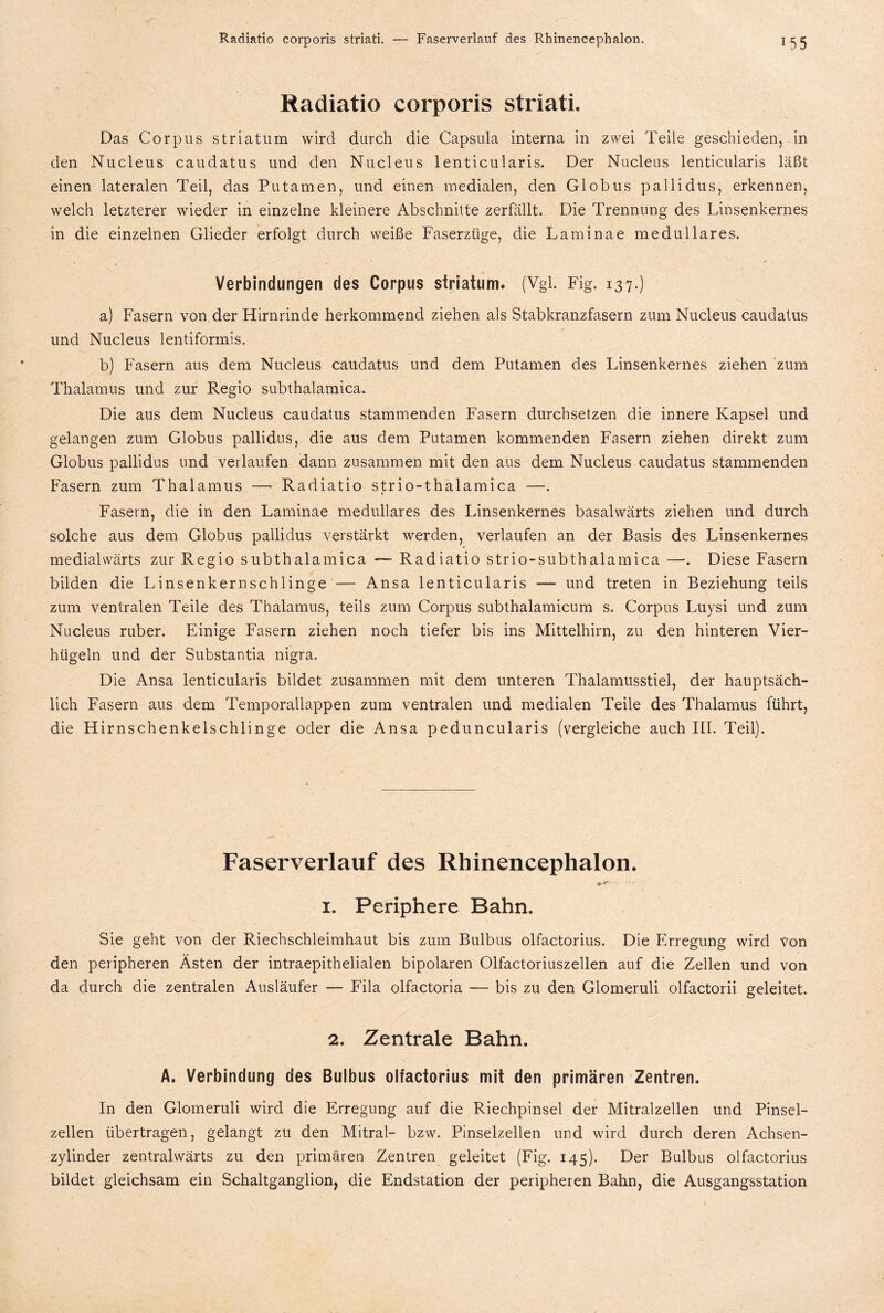Radiatio corporis striati. Das Corpus Striatum wird durch die Capsula interna in zwei Teile geschieden, in den Nucleus caudatus und den Nucleus lenticularis. Der Nucleus lenticularis läßt einen lateralen Teil, das Putamen, und einen medialen, den Globus pallidus, erkennen, welch letzterer wieder in einzelne kleinere Abschnitte zerfällt. Die Trennung des Linsenkernes in die einzelnen Glieder erfolgt durch weiße Faserzüge, die Laminae medulläres. Verbindungen des Corpus striatum. (Vgl. Fig. 137.) a) Fasern von der Hirnrinde herkommend ziehen als Stabkranzfasern zum Nucleus caudatus und Nucleus lentiformis. b) Fasern aus dem Nucleus caudatus und dem Putamen des Linsenkernes ziehen zum Thalamus und zur Regio subthalamica. Die aus dem Nucleus caudatus stammenden Fasern durchsetzen die innere Kapsel und gelangen zum Globus pallidus, die aus dem Putamen kommenden Fasern ziehen direkt zum Globus pallidus und verlaufen dann zusammen mit den aus dem Nucleus caudatus stammenden Fasern zum Thalamus — Radiatio strio-thalamica —. Fasern, die in den Laminae medulläres des Linsenkernes basalwärts ziehen und durch solche aus dem Globus pallidus verstärkt werden, verlaufen an der Basis des Linsenkernes medialwärts zur Regio subthalamica — Radiatio strio-subthalamica —. Diese Fasern bilden die Linsenkernschlinge — Ansa lenticularis — und treten in Beziehung teils zum ventralen Teile des Thalamus, teils zum Corpus subthalamicum s. Corpus Luysi und zum Nucleus ruber. Einige Fasern ziehen noch tiefer bis ins Mittelhirn, zu den hinteren Vier¬ hügeln und der Substantia nigra. Die Ansa lenticularis bildet zusammen mit dem unteren Thalamusstiel, der hauptsäch¬ lich Fasern aus dem Temporallappen zum ventralen und medialen Teile des Thalamus führt, die Hirnschenkelschlinge oder die Ansa peduncularis (vergleiche auch III. Teil). Faserverlauf des Rhinencephalon. 1. Periphere Bahn. Sie geht von der Riechschleimhaut bis zum Bulbus olfactorius. Die Erregung wird von den peripheren Ästen der intraepithelialen bipolaren Olfactoriuszellen auf die Zellen und von da durch die zentralen Ausläufer — Fila olfactoria — bis zu den Glomeruli olfactorii geleitet. 2. Zentrale Bahn. A. Verbindung des Bulbus olfactorius mit den primären Zentren. In den Glomeruli wird die Erregung auf die Riechpinsel der Mitralzellen und Pinsel¬ zellen übertragen, gelangt zu den Mitral- bzw. Pinselzellen und wird durch deren Achsen¬ zylinder zentralwärts zu den primären Zentren geleitet (Fig. 145). Der Bulbus olfactorius bildet gleichsam ein Schaltganglion, die Endstation der peripheren Bahn, die Ausgangsstation