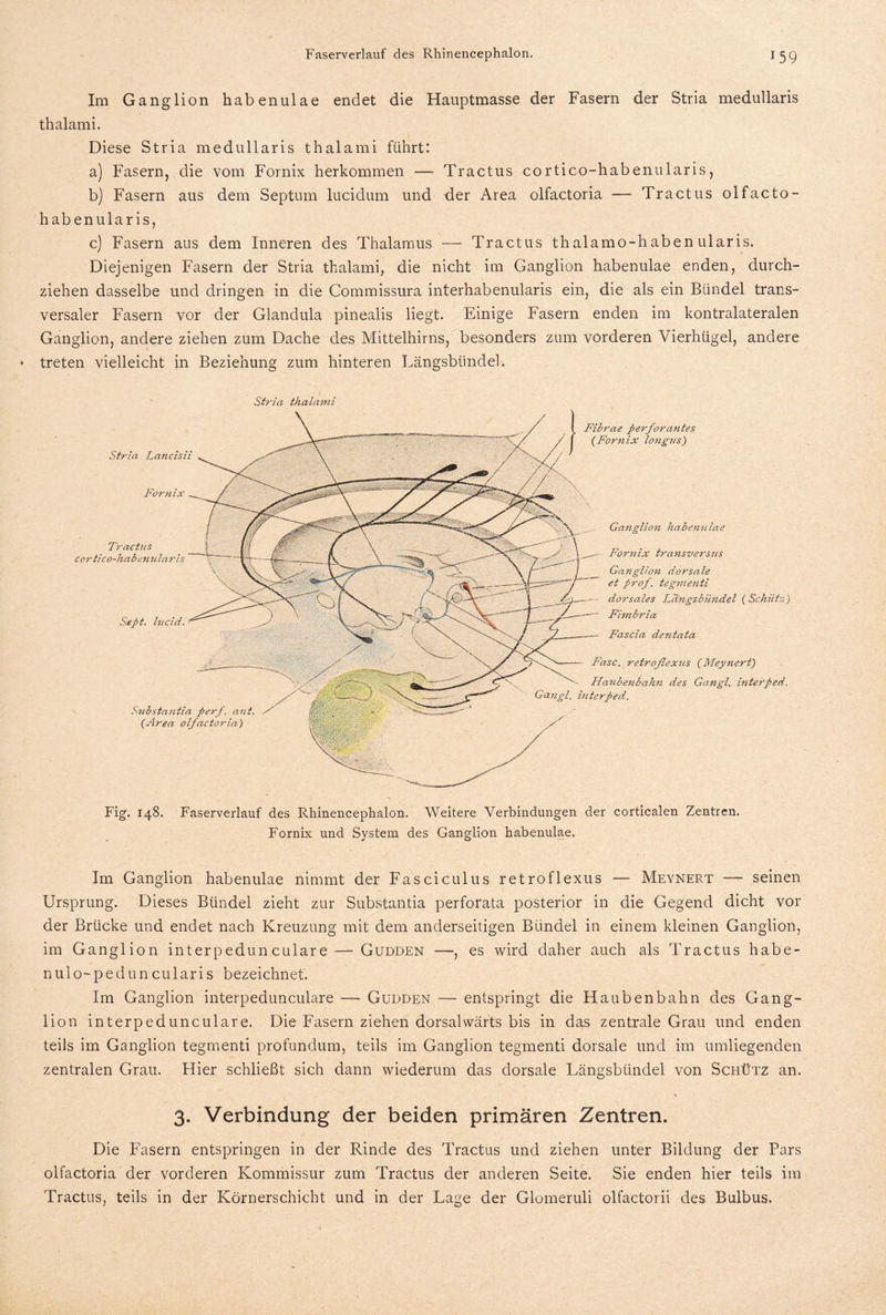 Im Ganglion habenulae endet die Hauptmasse der Fasern der Stria medullaris thalami. Diese Stria medullaris thalami führt: a) Fasern, die vom Fornix herkommen — Tractus cortico-habenularis, b) Fasern aus dem Septum lucidum und der Area olfactoria — Tractus olfacto- habenularis, c) Fasern aus dem Inneren des Thalamus — Tractus thalamo-haben ularis. Diejenigen Fasern der Stria thalami, die nicht im Ganglion habenulae enden, durch¬ ziehen dasselbe und dringen in die Commissura interhabenularis ein, die als ein Bündel trans¬ versaler Fasern vor der Glandula pinealis liegt. Einige Fasern enden im kontralateralen Ganglion, andere ziehen zum Dache des Mittelhirns, besonders zum vorderen Vierhügel, andere treten vielleicht in Beziehung zum hinteren Längsbündel. Stria thalami Fig. 148. Faserverlauf des Rhinencephalon. Weitere Verbindungen der corticalen Zentren. Fornix und System des Ganglion habenulae. Im Ganglion habenulae nimmt der Fasciculus retroflexus — Meynert — seinen Ursprung. Dieses Bündel zieht zur Substantia perforata posterior in die Gegend dicht vor der Brücke und endet nach Kreuzung mit dem anderseitigen Bündel in einem kleinen Ganglion, im Ganglion interpedunculare — Gudden —, es wird daher auch als Tractus habe- nulo-pedun culari s bezeichnet. Im Ganglion interpedunculare — Gudden — entspringt die Haubenbahn des Gang¬ lion interpedunculare. Die Fasern ziehen dorsalwärts bis in das zentrale Grau und enden teils im Ganglion tegmenti profundum, teils im Ganglion tegmenti dorsale und im umliegenden zentralen Grau. Hier schließt sich dann wiederum das dorsale Längsbündel von Schütz an. > 3. Verbindung der beiden primären Zentren. Die Fasern entspringen in der Rinde des Tractus und ziehen unter Bildung der Pars olfactoria der vorderen Kommissur zum Tractus der anderen Seite. Sie enden hier teils im Tractus, teils in der Körnerschicht und in der Lage der Glomeruli olfactorii des Bulbus.