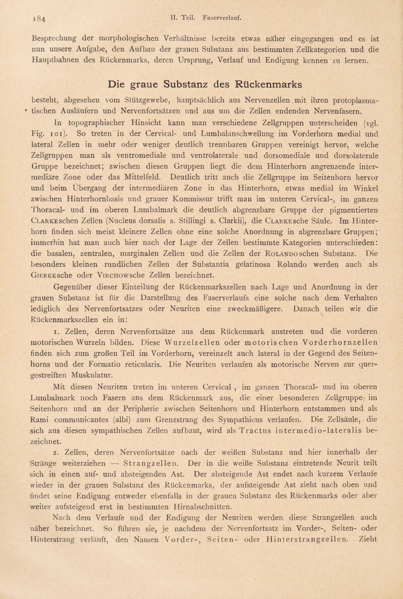 Besprechung der morphologischen Verhältnisse bereits etwas näher eingegangen und es ist nun unsere Aufgabe, den Aufbau der grauen Substanz aus bestimmten Zellkategorien und die Hauptbahnen des Rückenmarks, deren Ursprung, Verlauf und Endigung kennen zu lernen. Die graue Substanz des Rückenmarks besteht, abgesehen vom Stützgewebe, hauptsächlich aus Nervenzellen mit ihren protoplasma- • tischen Ausläufern und Nervenfortsätzen und aus um die Zellen endenden Nervenfasern. In topographischer Hinsicht kann man verschiedene Zellgruppen unterscheiden (vgl. Fig. ioi). So treten in der Cervical- und Lumbalanschwellung im Vorderhorn medial und lateral Zellen in mehr oder weniger deutlich trennbaren Gruppen vereinigt hervor, welche Zellgruppen man als ventromediale und ventrolaterale und dorsomediale und dorsolaterale Gruppe bezeichnet; zwischen diesen Gruppen liegt die dem Hinterhorn angrenzende inter¬ mediäre Zone oder das Mittelfeld. Deutlich tritt auch die Zellgruppe im Seitenhorn hervor und beim Übergang der intermediären Zone in das Hinterhorn, etwas medial im Winkel zwischen Hinterhornbasis und grauer Kommissur trifft man im unteren Cervical-, im ganzen Thoracal- und im oberen Lumbalmark die deutlich abgrenzbare Gruppe der pigmentierten Clarke sehen Zellen (Nucleus dorsalis s. Stillingi s. Clarkii), die Clarke sehe Säule. Im Hinter¬ horn finden sich meist kleinere Zellen ohne eine solche Anordnung in abgrenzbare Gruppen; immerhin hat man auch hier nach der Lage der Zellen bestimmte Kategorien unterschieden: die basalen, zentralen, marginalen Zellen und die Zellen der Rolando sehen Substanz. Die besonders kleinen rundlichen Zellen der Substantia gelatinosa Rolando werden auch als GiERKESche oder VmcHowsche Zellen bezeichnet. Gegenüber dieser Einteilung der Rückenmarkszellen nach Lage und Anordnung in der grauen Substanz ist für die Darstellung des Faserverlaufs eine solche nach dem Verhalten lediglich des Nervenfortsatzes oder Neuriten eine zweckmäßigere. Danach teilen wir die Rückenmarkszellen ein in: 1. Zellen, deren Nervenfortsätze aus dem Rückenmark austreten und die vorderen motorischen Wurzeln bilden. Diese Wurzelzellen oder motorischen Vorderhornzellen finden sich zum großen Teil im Vorderhorn, vereinzelt auch lateral in der Gegend des Seiten¬ horns und der Formatio reticularis. Die Neuriten verlaufen als motorische Nerven zur quer¬ gestreiften Muskulatur. Mit diesen Neuriten treten im unteren Cervical-, im ganzen Thoracal- und im oberen Lumbalmark noch Fasern ans dem Rückenmark aus, die einer besonderen Zellgruppe im Seitenhorn und an der Peripherie zwischen Seitenhorn und Hinterhorn entstammen und als Rami communicantes (albi) zum Grenzstrang des Sympathicus verlaufen. Die Zellsäule, die sich aus diesen sympathischen Zellen aufbaut, wird als Tractus intermedio-lateralis be¬ zeichnet. 2. Zellen, deren Nervenfortsätze nach der weißen Substanz und hier innerhalb der Stränge weiterziehen — Strangzellen. Der in die weiße Substanz eintretende Neurit teilt sich in einen auf- und absteigenden Ast. Der absteigende Ast endet nach kurzem Verlaufe wieder in der grauen Substanz des Rückenmarks, der aufsteigende Ast zieht nach oben und findet seine Endigung entweder ebenfalls in der grauen Substanz des Rückenmarks oder aber weiter aufsteigend erst in bestimmten Hirnabschnitten. Nach dem Verlaufe und der Endigung der Neuriten werden diese Strangzellen auch näher bezeichnet. So führen sie, je nachdem der Nervenfortsatz im Vorder-, Seiten- oder Hinterstrang verläuft, den Namen Vorder-, Seiten- oder Hinterstrangzellen. Zieht