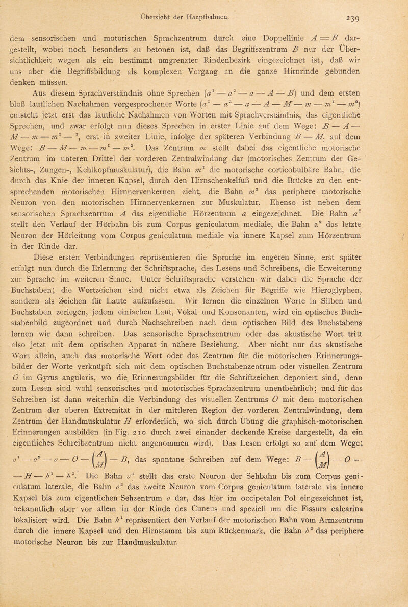 dem sensorischen und motorischen Sprachzentrum durch eine Doppellinie A — B dar¬ gestellt, wobei noch besonders zu betonen ist, daß das BegrifFszentrum B nur der Über¬ sichtlichkeit wegen als ein bestimmt umgrenzter Rindenbezirk eingezeichnet ist, daß wir uns aber die Begriffsbildung als komplexen Vorgang an die ganze Hirnrinde gebunden denken müssen. Aus diesem Sprachverständnis ohne Sprechen (a1 — a2 — a — A — B) und dem ersten bloß lautlichen Nachahmen vorgesprochener Worte [a1 — a2 — a — A — M— m — mx — m2) entsteht jetzt erst das lautliche Nachahmen von Worten mit Sprachverständnis, das eigentliche Sprechen, und zwar erfolgt nun dieses Sprechen in erster Linie auf dem Wege: B — A — M—m — mz— 2, erst in zweiter Linie, infolge der späteren Verbindung B — M,, auf dem Wege: B-—M—m — m1 — m2. Das Zentrum m stellt dabei das eigentliche motorische Zentrum im unteren Drittel der vorderen Zentralwindung dar (motorisches Zentrum der Ge¬ sichts-, Zungen-, Kehlkopfmuskulatur), die Bahn mz die motorische corticobulbäre Bahn, die durch das Knie der inneren Kapsel, durch den Hirnschenkelfuß und die Brücke zu den ent¬ sprechenden motorischen Hirnnervenkernen zieht, die Bahn m2 das periphere motorische Neuron von den motorischen Hirnnervenkernen zur Muskulatur. Ebenso ist neben dem sensorischen Sprachzentrum A das eigentliche Hörzentrum a eingezeichnet. Die Bahn ax stellt den Verlauf der Hörbahn bis zum Corpus geniculatum mediale, die Bahn a2 das letzte Neuron der Hörleitung vom Corpus geniculatum mediale via innere Kapsel zum Hörzentrum in der Rinde dar. Diese ersten Verbindungen repräsentieren die Sprache im engeren Sinne, erst später erfolgt nun durch die Erlernung der Schriftsprache, des Lesens und Schreibens, die Erweiterung zur Sprache im weiteren Sinne. Unter Schriftsprache verstehen wir dabei die Sprache der Buchstaben; die Wortzeichen sind nicht etwa als Zeichen für Begriffe wie Hieroglyphen, sondern als Zeichen für Laute aufzufassen. Wir lernen die einzelnen Worte in Silben und Buchstaben zerlegen, jedem einfachen Laut, Vokal und Konsonanten, wird ein optisches Buch¬ stabenbild zugeordnet und durch Nachschreiben nach dem optischen Bild des Buchstabens lernen wir dann schreiben. Das sensorische Sprachzentrum oder das akustische Wort tritt also jetzt mit dem optischen Apparat in nähere Beziehung. Aber nicht nur das akustische Wort allein, auch das motorische Wort oder das Zentrum für die motorischen Erinnerungs¬ bilder der Worte verknüpft sich mit dem optischen Buchstabenzentrum oder visuellen Zentrum O im Gyrus angularis, wo die Erinnerungsbilder für die Schriftzeichen deponiert sind, denn zum Lesen sind wohl sensorisches und motorisches Sprachzentrum unentbehrlich; und für das Schreiben ist dann weiterhin die Verbindung des visuellen Zentrums O mit dem motorischen Zentrum der oberen Extremität in der mittleren Region der vorderen Zentralwindung, dem Zentrum der Handmuskulatur H erforderlich, wo sich durch Übung die graphisch-motorischen Erinnerungen ausbilden (in Fig. 210 durch zwei einander deckende Kreise dargestellt, da ein eigentliches Schreibzentrum nicht angenommen wird). Das Lesen erfolgt so auf dem Wege; ox — o2 — 0 — O — — Z?, das spontane Schreiben auf dem Wege: B — — O —■ H — hx — h2. Die Bahn oz stellt das erste Neuron der Sehbahn bis zum Corpus geni¬ culatum laterale, die Bahn o2 das zweite Neuron vom Corpus geniculatum laterale via innere Kapsel bis zum eigentlichen Sehzentrum 0 dar, das hier im occipetalen Pol eingezeichnet ist, bekanntlich aber vor allem in der Rinde des Cuneus und speziell um die Fissura calcarina lokalisiert wird. Die Bahn h1 repräsentiert den Verlauf der motorischen Bahn vom Armzentrum durch die innere Kapsel und den Hirnstamm bis zum Rückenmark, die Bahn h2 das periphere motorische Neuron bis zur Handmuskulatur.