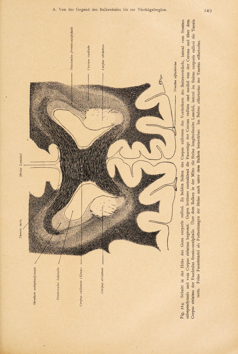 4) S s fl H-H 5-1 02 <u a * ? ^ ^ C 2 2 Ö »v 'v h JA 4 ö > o fl > 4 .'S 73 02 X 4) fl fl fr 4» * * r-<4 fl t/2 t/2 fl S-i +J .fl t/2 4 X ö S 0 CX t/2 g 5 « g t/2 f*- g h 'fl 5h fl 4 02 X a s • ?-* H ® 1—t Jh O 4-ä o #c5 O rd Jh &> c3 €3 - nd S-e O > t/2 X fl 5-i fl fl o 5h o M 5h Ah X r—i w fl .. 4 £> bJ) «3 :a g 2 CX 4 5h «2 © fl U fr t/2 4 4 iS x ^ _, 'ö Ö ö Ä 8 ■4 X3 w g •p fl {« 4 fl X « <u c/2 n GJ ^ ?h - O d ■*-> N « 4 1“ t/2. t/2 fl o « fl fl fl 02 fr <u c3 rQ s 0 5h g 4 8 X p d fr *S § fl 4 fl fl 4 Xd f—< c3 PQ 02 w fl o 4 fr b/3 fl 4 4 0 • -H 5h * 2 N Dh ö 5h ^ o 4 B 5h 4 4 X X 5h Ö 4 4 fr o fl ö 4 o 4 5h b/3 4 fr t/2 *2 4 5h ^5 v> 4 « Jd 53 £ & o O fl fl ki • -t-> t/2 4 fr j» ■4-» ” »H O CX fr • hH fn-H O 4 © I o fl ffi 5h 4 X o !> X X Ö fr fl fl -fl 4  a 5 cL . 4 b/3 fr fr fl (X in _ 4 R X O ö £ :fl «2 'S fl 4 fl fl 2 ä 4 fl fl 5h 4 X 4 Pfl fl X 4 fl ^ t/2 fl fr o U