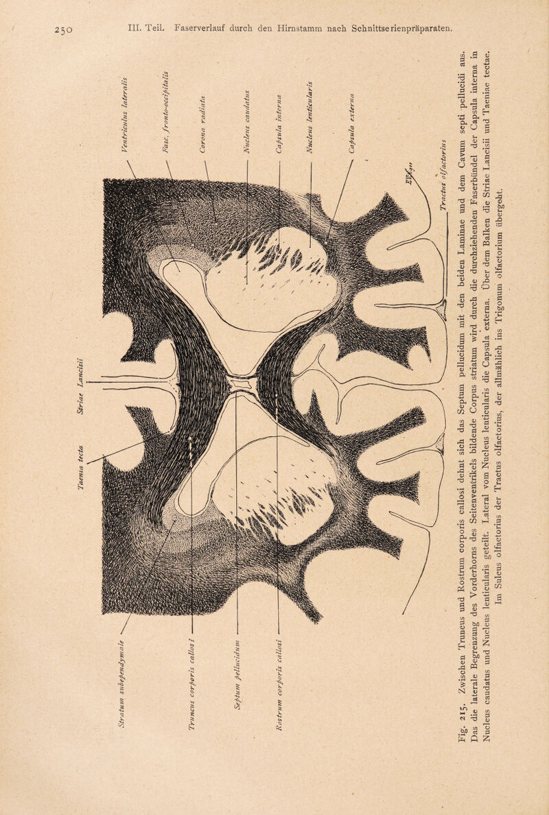 ci o d ci d k. d d d ^ d t/5 •-Ö a a * v U t/5 a d > ci U kl 0) Td 4) Td d d -Q V u Td t/5 _ d Td tt. ö ^ d i) Td d d rd d d ci .3 a ci d d Td • fH 15 £> d d Td N ü u d ts d •i-i nd dl o d Td Td t-i d d k> ü 1» 15 a ’d d ci H Td d d o d ci h3 d d • F-* £ . C/3 2 d <ö *3 S? d 0 a d :d Ä s d • F-< kl o k* ü .d kr ci M a d Td in d ,a £? a d . d ci O d b/) (H H ix d •w d I 'S •'S d S 3 H k. a 2 « *c » £ a g a g d o c/2 U C/3 C3 • rH ^ £ d d C/5 CS d V t/5 ci Td dS d • H CO d Td d d Td kl t/5 a 's rd V d rd ^d £ ..-i a C/5 d 0 S dd d £ O • -h d tfl Crt ® fH Vh o d o • F-* 4-> d d C/5 d d nd t/5 .5 fc. o kl o .d £ § Ö £ a ci p ki * h ki d d nd ci tfl a ,£ tr a o o t/5 d k o rd k. d nd k o t> t/5 d nd b/3 d d tS5 d d ki tu) d a « o t/5 d • r—t r ■■< ^ 2 N d ci 17) • <—4 k o rd ü £ ^ d 73 b/3 0 d k kJ t/5 O P4 Td d d t/5 d o d H d d ki ci d o • i“® <*—» d d t/5 d d 'v d Ä Td d d t/5 ci Td d ci o t/5 d o r—r d Cfl £? d «5 nd g W «4 3 £ Q 6