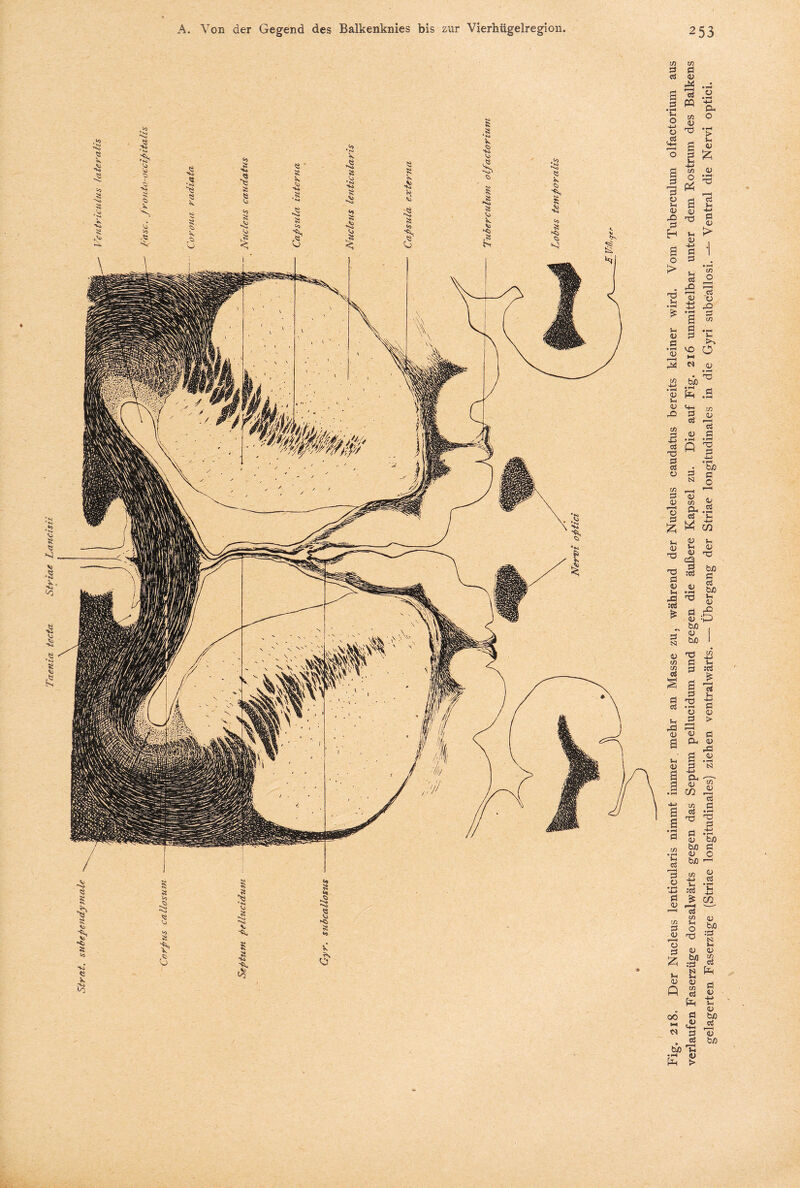 * m 1n fl Ö fl <U 6 £ .2 fl PQ Sh o in <u o a £ 0 'S o > 'Ö Sh Oh o > Sh 43 e fc HH 05 4> o a- P4 a s a 43 <l> .O Hfl fl H sh 4> 4-5 Ö fl Sh fl rO fl Sh 4-> Ö <u > 03 o fl 1) ü fl fl Sh • >h vo C*J 0) ZL H ” JüS M o • r—I • Tj ^2 fc>JO •Th £f o) .5 V <4H § C/5 <U £ cö ü CO V 9—( cS Ö | Q ^ A H bß fl O fl 3 43 „ 43 03 ^ *—« Q. C5 o t* fl ^ jz; W 03 5^ CD V u o ^ «3 ■« 'S •§ fl 4> 43 Sh __ A3 'O ;«ö iS bß fl fl bß Sh 43 fl £ S O „ bß 3 SP « bfl i 03 fl m cö § s fl T3 fl ü fl Sh — A3 P3 43 43 03 4-> Vh :c3 js 13 Ö 0 > <u Oh S fl 'S * s—* fl N .fl m •y ^ S * Ö fl Sh fl 13 o • t-H «4—i fl <u H --H « js iS ö • H T fl Ö .ti S bß bß Ö 4) o bJO 1 03 4) fl 03 Sh fl o Jü fl Sh :fl n jS Q 'fl w (U o fl £ bß :fl N Sh 4) 43 Sh . . 43 43 # fl 'S Sh 00 03 Ö fl ■IH Sh _ 43 fl bß fl ’N fl 43 • «S bß bß T3 4) Pfl >