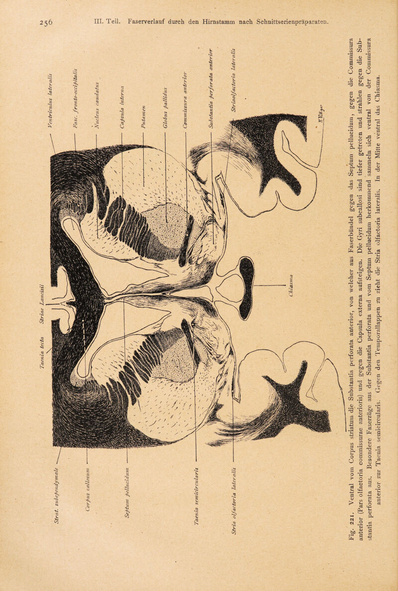 i cn <v • rHI P v b/3 X P P <U <v Ll •4—* 1» bß S-i <D <4-1 n> X ö • i-H CO c/5 o 4—| *d O 42 p t/i • »-4 o (U £ fl <u bß <v 4-4 .</> d d d d d> 4-» X V d fl c/5 PL fl u 4/ fl <U bß <u bß T3 Ö fl uT ’C o • 1—4 u <V 4-> d d d> d d c/5 co O o ed *C o 4-* ü «4-1 t/5 f-4 d Ph ?-< o • 1-4 5-i <u -L> fl fl fl L. t/5 o O l <u X fl a t/5 8'Ü ► 3 ■ OJ o > *55 « fl £ 13 3 ö d . r-^ d S o ?-4 o; rd di X* d V« <d 4-4 d d d o d 4-» x5 o • >-« & O t+2 fl 1—1 4P O -- ■ 1 pl .2 U 4-4 S c/2 Ö 4-J O CU *3 <U Xi w ^ g 13 o ’S > x § fl fl d 4-» d *4 s-t 4J pl fl fl U3 « fl x fl ö <u PL PL fl 3 L. o PL Ol g -§ X W fl 4J &ß X o t/5 ns t/5 fl fl ä’g :g 3 U O <U Lt t/5 *fl fl .s fl d> CO ci • r-H fl <D t/s fl V <u L< <U XI fl o t/5 fl fl fl +J fl Li 3 U* d) O, 54* d 5-h <ü 4—> d d d d d 4-4