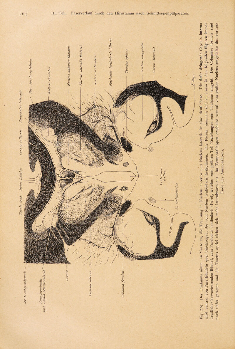 Ci fr fr* u -M c a £ g g fl a d fl A fl Sh <u A ' fl ö aj fr fl .A o • t—4 r—I -4—> fl cu fl fl fl • *—< fl 03 fl fl fl s fl fl • r*4 fl r—* N rfl fl fl Ö ci 03 Ö Sh fl , 03 fl .ci fr fr sU #rt CO CO • r—< fl • P“* c fr .o fl Sh fl o O! ci fl 3 s A <u fl A — u bß bß •§ -o fl £ fl fl rfl fl fl fl Sh fl ö fl t/3 fl fl fl fl & Ö fl A fl ^ 2 bß O £ O fl « fl n M o 13 ä bß « fl 1:2 - o fl 03 fl fl fl -fl H £ fl N fl fl fl Sh fl m fl fl fl £ g>! fl Sh o fr Sh bß fl +J fl fl !> 4H fl • I—* fl bß rfl rfl fl • ^ N fl ffl rfl Jf o 03 Sh fl ö fl n>. fl 2 fl £ £ £ -2 o bß 1 a _cj ^ SO CO fr £ i-fr O CO —-i fr fr* :ci .S £ 'S * fl ~ ei 03 O 2 Oh O fl rfl fl g H O fl < t/3 fl fl fl fl ö £ fr ci Sh fl 4H ci Sh rfl fl £ y o 53 f> £3 A <u • i““< ^ fl fl 3 bß O N fl rfl Ul fl fl • !—* -fr fl fl 03 ci fl ci Sh fl Sh fl fl d Sh fl Ö ^ Ö 03 :fl fl O § s C3 CO C$ E* fr v Q ci fr fl O > ci 0-3 g CS £ cs bß % fr % fl fl • fr o co Cu pH £ fl cs .“H fl ’ fl ö :fl PQ fl fl d fl fl H-> fl 4J Sh O > Sh fl rfl Sh fl rfl fl fl fl d rfl fl ö fl rfl fl ‘n Oh o ü ci fl d ö ö <u HH fl fl bß Sh <U *+H fl rfl fl o fl