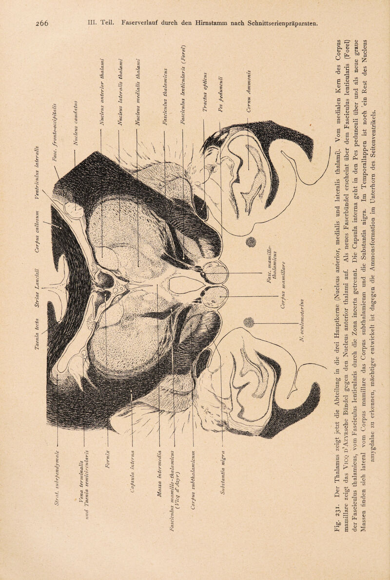 5 CU U, u. O O u — m 45 nd e v u fl *—H d 45 H HJ r-H d m <v ^d ’d • rH nd o • rH a> o s d Ph s o s > nd Ui • rH s 4) dJ :d d ^ d rfl • rH h-» <d rd m o S ö 45 -u> i—i d 45 •—1 nd •d :§ § -e 45 in •S d fr • rH nd w <u 45 s d 45 d u <i v ^ -4-> d fl fl fl fl O * rH Sh 0) m d 45 r-H 45 d _ d '-' rd 45 d G <v -U> & d •rH £ O ^ £ 45 ^ '-3 ö <u d ^ • rH bß cd d bß d 45 cd bß 13 03 d :d m 45 'S -u> 45 <u w •¥-> Pü t* bß « *53 < N q w d 45 -u> c %3 <y S £ 1 S H nd aj bß Q 'S N • 45 n Ui co d n cd .BP d fr S 0) d d U, bß 45 d 0) d t/5 ’d nd d d Ui a> Ud :d d o d d nd 4> CU in 45 PM d <u nd d ud d bß d d Ui 0) d 'B cn CU d u <u d d 45 Ui -u> <u bß d -u> Ul 45 45 d • rH fl d o N 45 • rH 03 rd 45 rH d od t/5 *»~i Ul d i d o d aj t/5 d o • rH o t/3 fl P=H ö o. m d o • rH s d 13 rd in d v 13 d £ in <ü nd -U> m 45 fr d • rH 0) rd t/5 o o d 13 d« • rH Ui 4-> •U) m d • rH <v > d <u d o ■4-> Cu • rH CU d QJ m r-H t/5 d 0) Ui O nd CU rH d g Ui <U O H ’u CU a d HH CS S • rH Vu bf) • rH fl d o H-> ^d fl “-u> s d Ui d ,o -4-J U-i t/2 m uo d d o C/2 s <u s • rH nd <3 nd 45 • rH d d nd d H 45 s b/3 d 45 o bo • rH /H d s nd c5 r-H ■u> cö t/3 ^d • rH •H d 13 t/5 o in d 'S CU 4-> d o 45 U Ui 45 in bß d • rH nd d3 ü (U :d Ui c d d r—u d' & cj 45 d s d 45 t/3 rH C4 Ui r-» 45 Oh 5h _* O CJ r-» S3 (V Ö fl ö r—H o fl > b/> __, o3 g 5h 0 fl H—> cö ’—1 rO *LO m d r—H d o • r-H V in d Pd Ui iU Td d <u nd d <d d v in m d