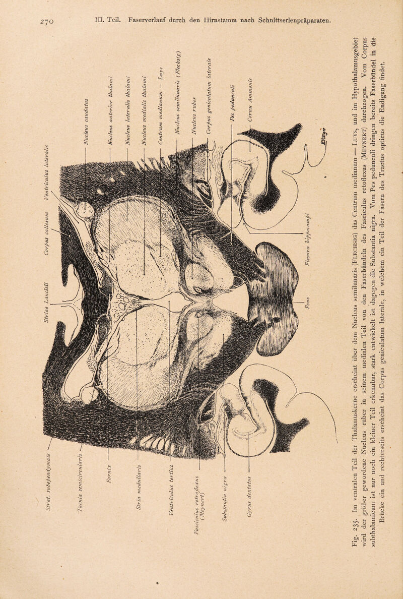 2 70 in <D 3 -g fr m 53 3 c3 eS rCj <D • TS u o > o fr a ►fr ^ ffi bn o d sj •3 'S 3 'ö T) 0) d ^3 :3 c cd S—i <V CO >* p fr y & Cd yA > co d fr w -u-> • r-4 <D ■*-, <v J=> d <D b/3 d 5/3 d d d x a» o d «-> <d v Uh ö d ,<d ü U in d o co Cu fr bJD d d b/3 TS d fr .3 5 co d o t3 o. a ° d co o d S o -3 rt Xi }_ CD f_H Cd ^ £ « dH ^ d d 5 ^ O oj co d fr d u Ko <L> > ÜS HH in K o w d fr CO 1) t3 co iD nd d :d . rQ J-H Uh d cd a £ d C™H oj d co CD d cd •43 H d ^ d cs co d 02 <u 3 <D d _a <d f 1 A ü d £ (D TS d r * 1 d rd o> d (U d Uh -UH d <d > 3 CD b/3 <D bo d nd d o > <u fr d 0) rH f—I 0> cS , n (D -UH a 3 CD d • r-«l <D CO (D dl O co 3 CD d d Uh .i-H <D (-H CO <u 3 22 3 a m & CD ~ f—H VH § £ £ 0) d cd 'Ti Uh o £ CD b/3 Uh <D Cd :0 b/3 <D ■d O d iD rd Uh d d hQ d d <D Uh <D <D fr Uh iD d • r—I cD f—l d • r—H iD rd o o d Uh d d ■LO o? ^ • Td b/3 Uh • »—4 • fr ^ O CÖ i—< cö rfl cS <D 4—^ cö- p 4-i' 3 o • I—w d CD b/3’ co d Cu Uh o U co d 4> nd o co Uh D CO H~> - • r-H (D co Uh CD -UH rd o <D TS d d • *—^ a> <D rd o