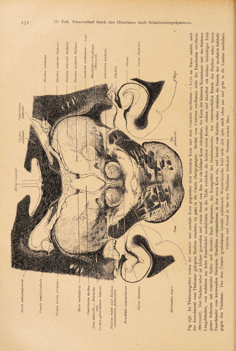 • H O m ct Pd 43 4-> 4P 43 • rH N d 43 d TP s u £ .3 w ^ bß iS 3 4 m in • 1—i o d 43 Sl 43 4-> d 43 Tp m 43 d • sH 43 s 43 t/3 J2 r—I 43 in tp d o> •£ - -g u C/2 43 M d <u 1t • 1—i dp a ui 43 dP ' d u 43 t/3 ct 43 r-H o d £ t/3 dP Tp 3 £ P4 ^ <u tp C M ~] 3 r“i d u 43 0) U TS Ö b d Sh 43 5 t> 1t * rH dp 43 £ 03 ct 42 d d 0) M 43 d u tu M bß ö S a CB »H bß <u 43 3 bß ^ d 43 42 :d ct TP d ct U 43 N d 43 d o > ct t/3 Sh O ct Tp in m -4-> OJ r-d • H N 43 d Sh K> 4-i d 43 4-> o Sh d 43 dP 'S 42 43 43 rd 43 £ N .43 • rH H 43 :d £ 15 d <D *d • H dP 43 a o d > d 43 r1 M 42 Ct Sh 43 rO d rH t/2 d 43 < § £ t/3 d o > o 1t d Sh O -U d2 ct H •—* o O •§ t/3 d 43 TP a 43 43 43 o bß 43 M d 43 •s 'S tp d d 43 Tjj d g o fl 43 q_) t/3 =3 43 43 43 43 b.0 43 44 r-H 43 bß t« _h d ’S 'S g .*§ S ^ bß 03 Sh «5 43 ft| d t/3 Sh ct dP d 43 dp Ö 43 d • ?H d ___ 43 Sh a bß 43 42 .£ 4-> t/3 • >H 43 d d d ’d PQ 0 Sh 43 t—H 43 a d d t/2 • pH 7h 4P O O 13 Ct * . PP a 15 -d e- o > ct Sh 43 ■H ct r‘ H o t/3 Sh O Sh 43 TP Sh - 03 42 43 rH 43 d & Sh 43 43 d • r—4 t/3 d a 43 4P 4) 1u d o > 43 CS3 Sh Ct 03 Pd i-ö Pi d pq Sh 43 d 43 U TP d ö d hj > d 43 tP Sh e 44 Q - M t/3 U fr fl (d M W :d 42 t/3 bo d :ct hJ N Ö ct 4-1 C/3 42 d C/3 Sh 43 d ct Sh a o 43 d :d 42 43 in ct bß Pd in 43 a Ö ct 43 -r3 43' bß ct 43 42 43 ct N 43 bß d o, Sh O O 43 TP Ct c in d a ct 1t -d E-t 43 TP 43 bß 43 bß « 43 42 43 r—H ct o N 4-1 Ct 43 - rÖ d 43' rd 43 43 d d r—I d rd H 43 TP Ct dP ♦ pH t/2 O TP d 43 44 X 43 .-ä