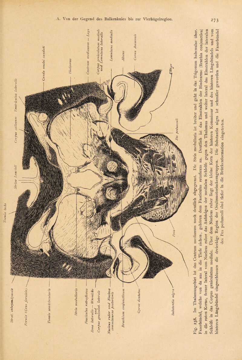 « cö > • pH 4-5 o fl .fl ’ö1 o o fl • pH rfl o fl >-l PQ So ^ 5 - r-1 fl 0 t/3 Td ■“ Ö 0 rid 0 fl fl ö CU A3 fl rfl fl Td rfl 0) bß Td ö <u -S-> * 1—■i 1) u rO 4-5 t/2 *h Cu ■d <ü o3 • <—i u 4-> c/2 <D • r—1 a fl 0) m Sh <u Hfl A 1) r-H rP Ctf . U 4—5 t/2 d • »H w 73 fl Td rfl o fl Q fl fl t/3 fl X 0 ed o -i-> 0 u ö 0) r 'I c3 frH <u 4-5 Ctf nD d <U ?—H rd ci Ui 4—> t/2 d • pH w t/3 fl Td fl Sh 03 03 <D £ Td Ö fl t/3 fl s fl fl rfl 273 s r—’l 0 0 Td > fl Td r© ö Sh fl 0 73 fl t/3 fH 1u Td 0 fl cfl • pH Td rQ 73 T3 bß Ö fl fl :fl a fl 0 A Td 0 S- ^1 0 0 -SH fl • pH 0 bß rfl Sh 73 0 0 Td Tfl s Td rfl fl O fl t/2 Sh 4-5 fl 73 t/2 • pH 73 • pH g d 5-3 B b/) • pH 0 d 1—1 d • iH fl 03 H Ö fl ö rfl . *-* fl 03 03 Td bß 03 fl fcÄ Ö £ w • pH 03 <U 3 ö o m 03 p—H rfl bß J <u ,3 bß fl Jd 03 fl rfl O 03 t/3 fl ffl d s_ 0 fl • H Td -*-> 03 bß fl fl fl *i-i 3-i 03 Td Sh 03 -Q d 3 ^ nd 03 bß .t/3 s rfl 03 O fl fl s fl * r—J Td cu -SH fl 03 U t/3 fl Td fl 03 Sh 30 rfl 0 bß Ö 03 rfl 03 • pH S3 <4H d) • pH H 0 • pH X5 t/2 d d <u 4-> .t/3 d <i t/3 fl Td 3h 0 flb 0 r-H o fl £ a 0 ;Td 0 rfl C> t/3 fl AJ 0 A * U .pH 15 'S s s o i> fi 0 • i-H rfl 0 bß in fl fl Sh 0 fl -4-> fl 3 fl Td fl fl hh ö Sh 0 0 bß fl s fl t—H cö rfl fH Ö PH o 0 rfl fl Ü <U <HH t/3 fl CXi „ 3h 0 o S u M fl 0 4H 0 8_ 0 fl bß fl fl 4—5 • pH t/2 0 fll fl fl C/2 © * pH . 02 •d 2 Q ß H .O MH Ö c s £ ä ° g :g & w 8 A 0 rfl rfl ^ 7X1 H d d • pH •** ?H O U 4—> O o *+-• s ^ © 'fl Td | JB O 03 • rH pH *72 CL> ^ * § fl r^ O QJ • »h bß flp fl (flC s 0 * bß t/j *fl 0 r-H pp—* 0 H< 0 • s—! 0 Sh Td 0 • rH d (U t/2 t/2 o f—H rfl o 73 fl bß fl • H 0 0 . -V 00 fl ro -fl • ^ .%> fl fH fH fl 0 -u O Sh 0 ® rH Td •fl ö • pH A> • i*H 0 r-H rfl o m 0 Td fl :fl rO t/3 bß fl :fl a A 0 3h 0 -SH fl • rfl