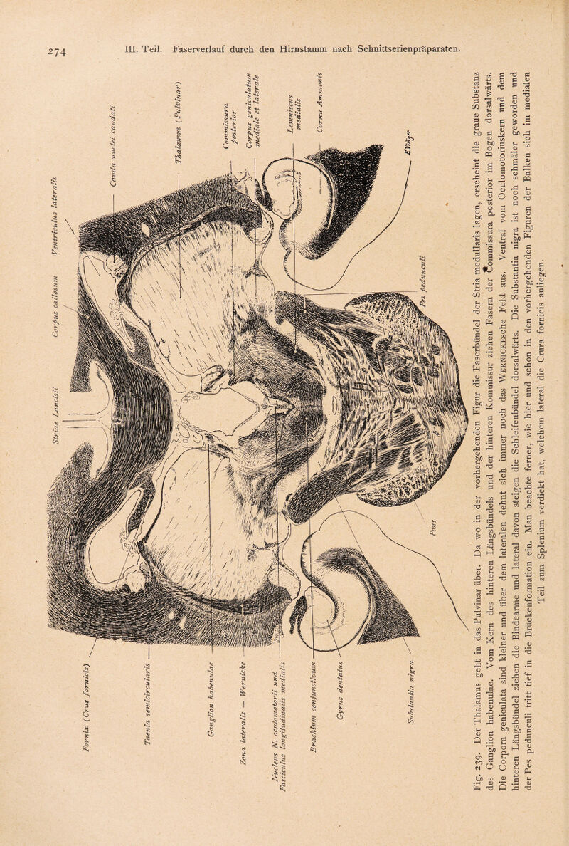 S1 ß d t/3 r* I 1 u :c3 £ U) rQ ß 'ß m m <u T3 T3 ß ß ß ß P C3 5h CXD ß • >-H TS 5h o ti ß ß bo o PQ rrj P a ^ § 'S T3 ß s •S S <u rß ß t/3 5h ß Pf ß bo ci 5h ci 5h O *h <v 4-> t/2 o O, 5-. P t/2 t/2 Ö 1-4 <D t/2 P • i-H Vh o 4—> o 3 o 3 ß O 3 o g 3 O bjo rß o i-i ß «3 3 rß ß t/3 t/3 ß cu ci PC rß U o <u o ß Ti 3 03 O s*j ci 5-i • J-4 Q.) -ß TS m ß ci Pß ß 0) rß 03 • i—i CO rO ß 03 5-i ß c4 “ i-H ß ß 43 ci 5-i ■4H ß 4) t> ci rC •rt ß ß 3 ca ß* 4-> <U X bJO rQ 5h 43 ß ci _ ’ß XI (fl ß 43 Q 43 T ß :ß -Q 5h 03 ci pß • 5-^ • »-« ^ 3 . . Ö 43 rß 43 tn W ti W ;ß y £ ß 43 nd 2 ß w _ ß ca O 3 rß 5h £ 43 'S ? rß ß 43 O o ß 4) 5H r— 43 rP ß w T ß ß 5h 43 43 03 • 1—4 rß T3 0 ß 43 in m 43 ß Sh .43 43 5h 43 T ß :ß rQ t/3 b/3 ß ca ;ß Q *-> -3 <D C5 0) £ 43 rQ :ß ci ß Pß ß 5h 43 •AH ß • 5““( rß 43 Xl ß t/3 5h Ci 43 ß rß 43 ^ ß fl <D -4-> P 43 rÖ 5h 43 rQ T) ß ci 5h +J ci Ti ß ß 43 43 ß • P^ 4-» c3 s 5h O ß ■ o rß > 43 b/3 ci 1a rß 5h 43 ■ß ß 5h * ^ 43 PQ 5- 03 o ^ 43 u 43 i—i .ÜS Ti ß :ß 5h PQ 03 .£ ß rß Ph 43 ca r1 1 cti AJ ß ß 4-> 5“—1 > 4 ß •U 's! ß P -5H ca • ß ß b/3 :ß . —H' rß fH rQ t/3 b/3 'ß ß ß • t—( 5h ß :ß ß X3 r—H bx> <H Oh ß Qh ca Ü 5h O O ß ß 5h ß t/3 ß CU t/3 ß 4-> P) 5h ß • 5—^ ß T3 P rß ro ß ß b/3 ß s—! —t P • T—4 • 5“H ß 5h .O ca 5h ß 5h u ß ß 5h ß H-> ca ß ß rß ß rß ’ea rß 4-> ß • ^ 5h ß > ß Oh C0 ß Eh 4