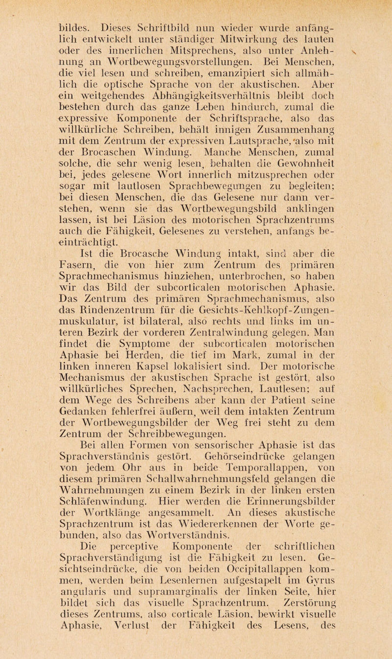 bildes. Dieses Schriftbild nun wieder wurde anfäng¬ lich entwickelt unter ständiger Mitwirkung des lauten oder des innerlichen Mitsprechens, also unter Anleh¬ nung an Wortbewegungsvorstellungen. Bei Menschen, die viel lesen und schreiben, emanzipiert sich allmäh¬ lich die optische Sprache von der akustischen. Aber ein weitgehendes Abhängigkeitsverhältnis bleibt doch bestehen durch das ganze Leben hindurch, zumal die expressive Komponente der Schriftsprache, also das willkürliche Schreiben, behält innigen Zusammenhang mit dem Zentrum der expressiven Lautsprache/also mit der Brocaschen Windung. Manche Menschen, zumal solche, die sehr wenig lesen, behalten die Gewohnheit bei, jedes gelesene Wort innerlich mitzusprechen oder sogar mit lautlosen Sprachbewegungen zu begleiten; bei diesen Menschen, die das Gelesene nur dann ver¬ stehen, wenn sie das Wortbewegungsbild anklingen lassen, ist bei Läsion des motorischen Sprachzentrums auch die Fähigkeit, Gelesenes zu verstehen, anfangs be¬ einträchtigt. Ist die Broeasche Windung intakt, sind aber die Fasern, die von hier zum Zentrum des primären Sprachmechanismus hinziehen, unterbrochen, so haben wir das Bild der subcorticalen motorischen Aphasie. Das Zentrum des primären Sprachmechanismus, also das Rindenzentrum für die Gesichts-Kehlkopf-Zungen - muskulatur, ist bilateral, also rechts und links im un¬ teren Bezirk der vorderen Zentralwindung gelegen. Man findet die Symptome der subcorticalen motorischen Aphasie bei Herden, die tief im Mark, zumal in der linken inneren Kapsel lokalisiert sind. Der motorische Mechanismus der akustischen Sprache ist gestört, also willkürliches Sprechen, Nachsprechen, Lautlesen; auf dem Wege des Schreibens aber kann der Patient seine Gedanken fehlerfrei äußern, weil dem intakten Zentrum der Worthewegungsbilder der Weg frei steht zu dem Zentrum der Schreibbewegungen. Bei allen Formen von sensorischer Aphasie ist das Sprachverständnis gestört. Gehörseindrücke gelangen von jedem Ohr aus in beide Temporallappen, von diesem primären Schallwahrnehmungsfeld gelangen die Wahrnehmungen zu einem Bezirk in der linken ersten Schläfenwindung. Hier werden die Erinnerungsbilder der Wortklänge angesammelt. An dieses akustische Sprachzentrum ist das Wiedererkennen der Worte ge¬ bunden, also das Wortverständnis. Die perceptive Komponente der schriftlichen Sprachverständigung ist die Fähigkeit zu lesen. Ge¬ sichtseindrücke, die von beiden Occipitallappen kom¬ men, werden beim Lesenlernen aufgestapelt im Gyrus angularis und supramarginalis der linken Seite, hier bildet sich das visuelle Sprachzentrum. Zerstörung dieses Zentrums, also corticale Läsion, bewirkt visuelle Aphasie, Verlust der Fähigkeit des Lesens, des