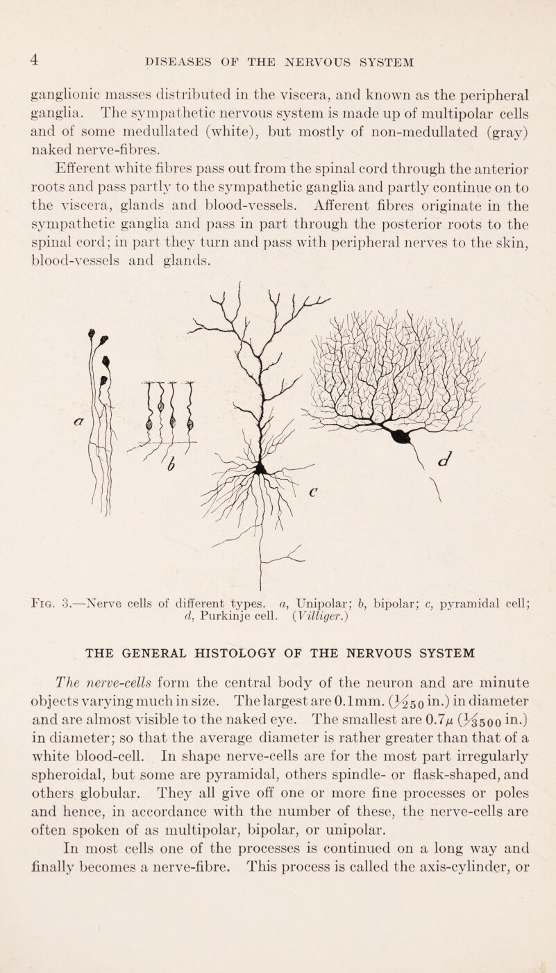 ganglionic masses distributed in the viscera, and known as the peripheral ganglia. The sympathetic nervous system is made up of multipolar cells and of some medullated (white), but mostly of non-medullated (gray) naked nerve-fibres. Efferent white fibres pass out from the spinal cord through the anterior roots and pass partly to the sympathetic ganglia and partly continue on to the viscera, glands and blood-vessels. Afferent fibres originate in the sympathetic ganglia and pass in part through the posterior roots to the spinal cord; in part they turn and pass with peripheral nerves to the skin, blood-vessels and glands. Fig. 3.—Nerve cells of different types, a, Unipolar; b, bipolar; c, pyramidal cell; d, Purkinje cell. (Villiger.) THE GENERAL HISTOLOGY OF THE NERVOUS SYSTEM The nerve-cells form the central body of the neuron and are minute objects varying much in size. The largest are 0.1mm. (J^so in.) in diameter and are almost visible to the naked eye. The smallest are 0.7n (3di500 in0 in diameter; so that the average diameter is rather greater than that of a white blood-cell. In shape nerve-cells are for the most part irregularly spheroidal, but some are pyramidal, others spindle- or flask-shaped, and others globular. They all give off one or more fine processes or poles and hence, in accordance with the number of these, the nerve-cells are often spoken of as multipolar, bipolar, or unipolar. In most cells one of the processes is continued on a long way and finally becomes a nerve-fibre. This process is called the axis-cylinder, or