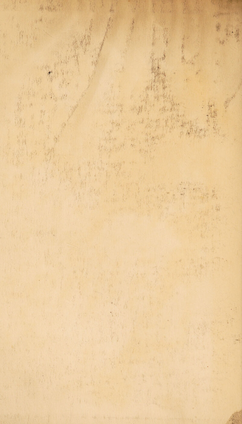 ! iji ‘ t -j ' f‘ '( ■<% ; ■ w. 5 l: , k; 5 f ' : ’> * i; < , >•* ' . ‘ # >; v jr;t ■; [;-i; ^ : • t ,1 :■ • U v <• ' .* ^ r ,• * • - 0 ■ : ,'iP €$* . 7 .v..o , • •, 6 I ft I V>-■ : # s 4 4- I ... , ■ - < ' i * '• ’ W ■'I';’7 «. ...■ I'M. ■ • , t t* * J, , fc' : i.V (-W 1 _n4 .* |V, . . . f /. : ! 1 '< ■■ . 5 <*4 ’■ ;% -V'-. ..!«> . - .1 . .•? t‘ A-, ' * ■» 4.* ' ' • • / ,r. ■> i/V ' # .# V £ /* ■ i 1  ’ ■ ■7*> < A?' ; n ■ ; vl. 4. .‘-ii' 01 ' *! J ■ . to. :.7.< ; - i 'li' ■', 4• f Kj '**'■ T '* .A Mt ■ * ?■' > ; v -V.' ', . ■..f ../■■' ' S' 1 ' : ! sSrlH l ‘ i € - p? i, « : , • • i V * Cv , f ‘ , f'H 15 ! .'*k ;* '•'I •f f 4 '■ :vf »>■ 'v- ■ :t/u ;' < • • n j* ' '' • ■■■ - •, , >. . M , J ■■' V VI, ^ l-j .»v  4* ‘ '• ' ' ■/ '• *' V',v;:f . ■ ' }{ I ■ S 4 •v, • v • ; 1 4 , .r  f • .. r , •v,< 1 v I . ' • 