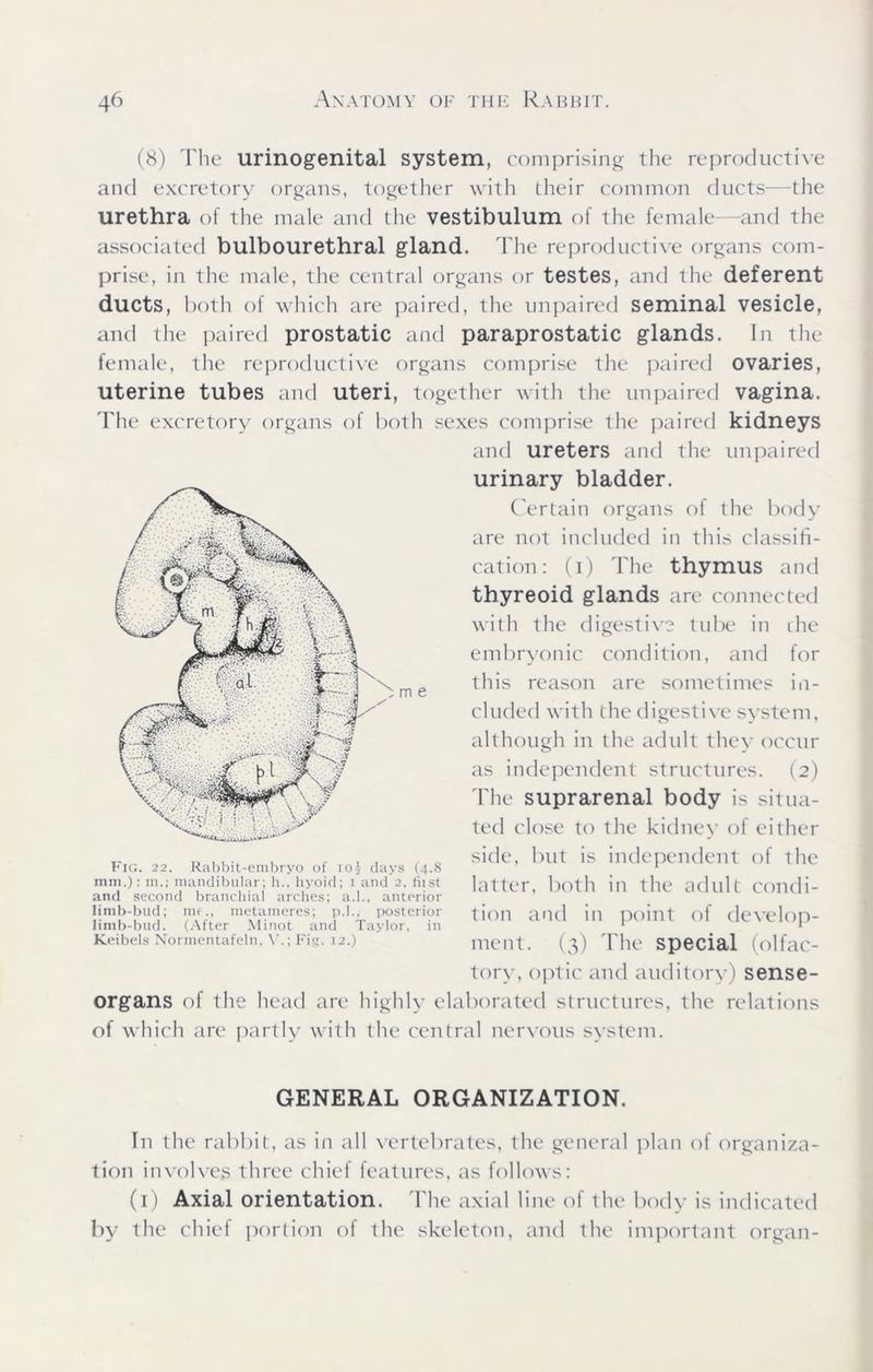 (8) The urinogenital system, comprising the reproductive and excretory organs, together with their common ducts—the urethra of the male and the vestibulum of the female—and the associated bulbourethral gland. The reproductive organs com- prise, in the male, the central organs or testes, and the deferent ducts, both of which are paired, the unpaired seminal vesicle, and the paired prostatic and paraprostatic glands. In the female, the reproductive organs comprise the paired ovaries, uterine tubes and uteri, together with the unpaired vagina. The excretory organs of both sexes comprise the paired kidneys and ureters and the unpaired urinary bladder. Certain organs of the body are not included in this classifi- cation: (i) The thymus and thyreoid glands are connected with the digestive tube in the embryonic condition, and for this reason are sometimes in- cluded with the digestive system, although in the adult they occur as independent structures. (2) The suprarenal body is situa- ted close to the kidney of either side, but is independent of the latter, both in the adult condi- tion and in point of develop- ment. (3) The special (olfac- tory, optic and auditory) sense- organs of the head are highly elaborated structures, the relations of which are partly with the central nervous system. Fig. 22. Rabbit-embryo of io.} days (4.8 inm.): m.; mandibular; h., hyoid; 1 and 2, fust and second branchial arches; a.l., anterior limb-bud; me., metameres; p.l., posterior limb-bud. (After Minot and Taylor, in Keibels Normentafeln, V.; Fig. 12.) GENERAL ORGANIZATION. In the rabbit, as in all vertebrates, the general plan of organiza- tion involves three chief features, as follows: (1) Axial orientation. The axial line of the body is indicated by the chief portion of the skeleton, and the important organ-