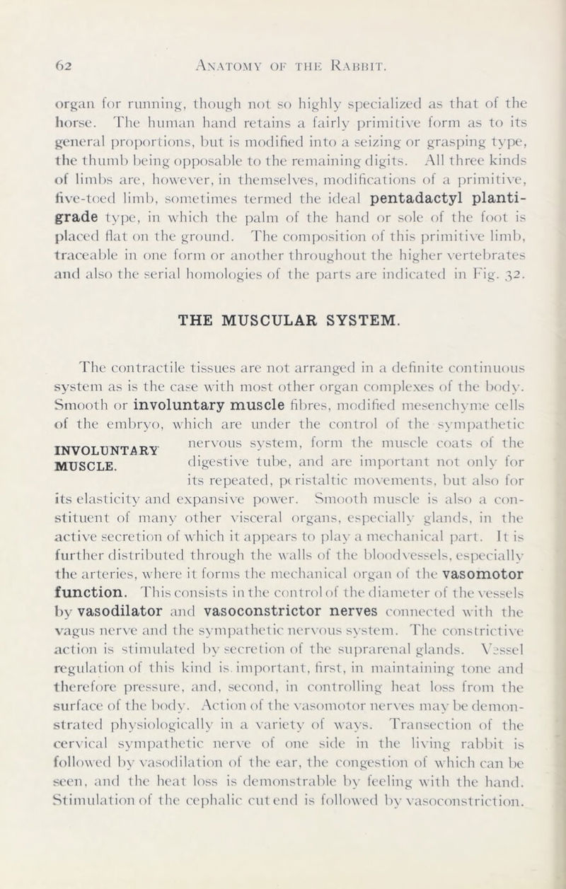 organ ior running, though not so highly specialized as that of the horse. The human hand retains a fairly primitive form as to its general proportions, but is modified into a seizing or grasping type, the thumb being opposable to the remaining digits. All three kinds of limbs are, however, in themselves, modifications of a primitive, five-toed limb, sometimes termed the ideal pentadactyl planti- grade type, in which the palm of the hand or sole of the foot is placed fiat on the ground. The composition of this primitive limb, traceable in one form or another throughout the higher vertebrates and also the serial homologies of the parts are indicated in Fig. 32. THE MUSCULAR SYSTEM. The contractile tissues are not arranged in a definite continuous system as is the case with most other organ complexes of the body. Smooth or involuntary muscle fibres, modified mesenchyme cells of the embryo, which are under the control of the sympathetic INVOLUNTARY nervous system, form the muscle coats of the MUSCLE digestive tube, and are important not only for its repeated, peristaltic movements, but also for its elasticity and expansive power. Smooth muscle is also a con- stituent ot many other visceral organs, especially glands, in the active secretion of which it appears to play a mechanical part. It is further distributed through the walls ol the bloodvessels, especially the arteries, where it forms tlx' mechanical organ of the vasomotor function. This consists in the control of the diameter of the vessels by vasodilator and vasoconstrictor nerves connected with the vagus nerve and the sympathetic nervous system. The constrictive action is stimulated by secretion of the suprarenal glands. Vessel regulation of this kind is. important, first, in maintaining tone and therefore pressure, and, second, in controlling heat loss from the surface of the body. Action ot the vasomotor nerves may be demon- strated physiologically in a variety ot ways. Transection of the cervical sympathetic nerve of one side in the living rabbit is followed by vasodilation of the ear, the congestion of which can be seen, and the heat loss is demonstrable by feeling with the hand. Stimulation of the cephalic cut end is followed by vasoconstriction.