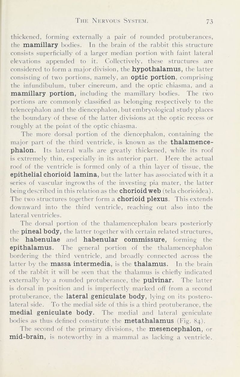 thickened, forming externally a pair of rounded protuberances, the mamillary bodies. In the brain of the rabbit this structure consists superficially of a larger median portion with faint lateral elevations appended to it. Collectively, these structures are considered to form a major division, the hypothalamus, the latter consisting of two portions, namely, an optic portion, comprising the infundibulum, tuber cinereum, and the optic chiasma, and a mamillary portion, including the mamillary bodies. The two portions are commonly classified as belonging respectively to the telencephalon and the diencephalon, but embryological study places the boundary of these of the latter divisions at the optic recess or roughly at the point of the optic chiasma. The more dorsal portion of the diencephalon, containing the major part of the third ventricle, is known as the thalamence- phalon. Its lateral walls are greatly thickened, while its roof is extremely thin, especially in its anterior part. Here the actual roof of the ventricle is formed only of a thin layer of tissue, the epithelial chorioid lamina, but the latter has associated with it a series of vascular ingrowths of the investing pia mater, the latter being described in this relation as the chorioid web (tela chorioidea). The two structures together form a chorioid plexus. This extends downward into the third ventricle, reaching out also into the lateral ventricles. The dorsal portion of the thalamencephalon bears posteriorly the pineal body, the latter together with certain related structures, the habenulae and habenular commissure, forming the epithalamus. The general portion of the thalamencephalon bordering the third ventricle, and broadly connected across the latter by the massa intermedia, is the thalamus. In the brain of the rabbit it will be seen that the thalamus is chiefly indicated externally by a rounded protuberance, the pulvinar. The latter is dorsal in position and is imperfectly marked off from a second protuberance, the lateral geniculate body, lying on its postero- lateral side. To the medial side of this is a third protuberance, the medial geniculate body. The medial and lateral geniculate bodies as thus defined constitute the metathalamus (Fig. 84). The second of the primary divisions, the mesencephalon, or mid-brain, is noteworthy in a mammal as lacking a ventricle.