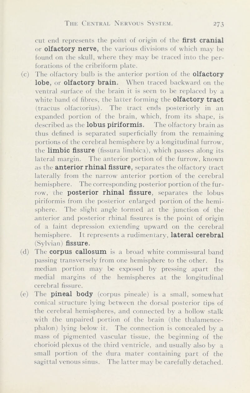 cut end represents the point of origin of the first cranial or olfactory nerve, the various divisions of which may be found on the skull, where they may be traced into the per- forations of the cribriform plate. (c) The olfactory bulb is the anterior portion of the olfactory lobe, or olfactory brain. When traced backward on the ventral surface of the brain it is seen to be replaced by a white band of fibres, the latter forming the olfactory tract (tractus olfactorius). The tract ends posteriorly in an expanded portion of the brain, which, from its shape, is described as the lobus piriformis. The olfactory brain as thus defined is separated superficially from the remaining portions of the cerebral hemisphere by a longitudinal furrow, the limbic fissure (fissura limbica), which passes along its lateral margin. The anterior portion of the furrow, known as the anterior rhinal fissure, separates the olfactory tract laterally from the narrow anterior portion of the cerebral hemisphere. The corresponding posterior portion of the fur- row, the posterior rhinal fissure, separates the lobus piriformis from the posterior enlarged portion of the hemi- sphere. The slight angle formed at the junction of the anterior and posterior rhinal fissures is the point of origin of a faint depression extending upward on the cerebral hemisphere. It represents a rudimentary, lateral cerebral (Sylvian) fissure. (d) The corpus callosum is a broad white commissural band passing transversely from one hemisphere to the other. Its median portion may be exposed by pressing apart the medial margins of the hemispheres at the longitudinal cerebral fissure. (e) The pineal body (corpus pineale) is a small, somewhat conical structure lying between the dorsal posterior tips of the cerebral hemispheres, and connected by a hollow stalk with the unpaired portion of the brain (the thalamence- phalon) lying below it. The connection is concealed by a mass of pigmented vascular tissue, the beginning of the chorioid plexus of the third ventricle, and usually also by a small portion of the dura mater containing part of the sagittal venous sinus. The latter may be carefully detached.