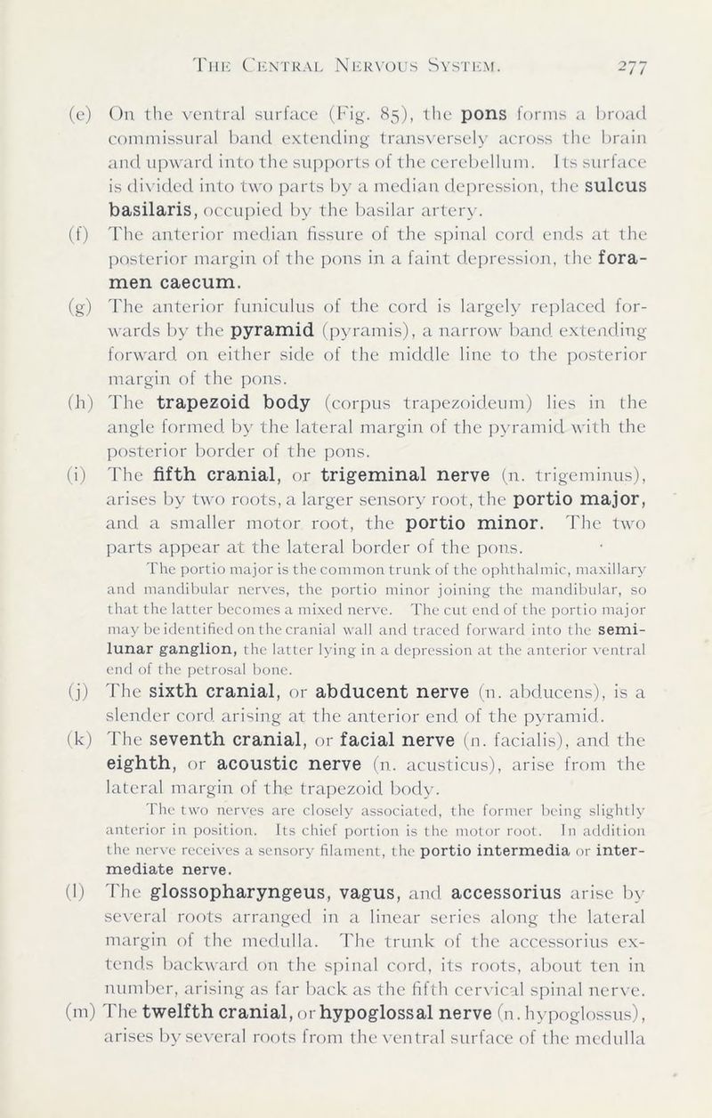 (e) On the ventral surface (Fig. 85), the pons forms a broad commissural band extending transversely across the brain and upward into the supports of the cerebellum. Its surface is divided into two parts by a median depression, the sulcus basilaris, occupied by the basilar artery. (f) The anterior median fissure of the spinal cord ends at the posterior margin of the pons in a faint depression, the fora- men caecum. (g) The anterior funiculus of the cord is largely replaced for- wards by the pyramid (pvramis), a narrow band extending forward on either side of the middle line to the posterior margin of the pons. (h) The trapezoid body (corpus trapezoideum) lies in the angle formed by the lateral margin of the pyramid with the posterior border of the pons. (i) The fifth cranial, or trigeminal nerve (n. trigeminus), arises by two roots, a larger sensory root, the portio major, and a smaller motor root, the portio minor. The two parts appear at the lateral border of the pons. The portio major is the common trunk of the ophthalmic, maxillary and mandibular nerves, the portio minor joining the mandibular, so that the latter becomes a mixed nerve. The cut end of the portio major may be identified on the cranial wall and traced forward into the semi- lunar ganglion, the latter lying in a depression at the anterior ventral end of the petrosal bone. (j) The sixth cranial, or abducent nerve (n. abducens), is a slender cord, arising at the anterior end of the pyramid. (k) The seventh cranial, or facial nerve (n. facialis), and the eighth, or acoustic nerve (n. acusticus), arise from the lateral margin of the trapezoid body. The two nerves are closely associated, the former being slightly anterior in position. Its chief portion is the motor root. In addition the nerve receives a sensory filament, the portio intermedia or inter- mediate nerve. (l) The glossopharyngeus, vagus, and accessorius arise by several roots arranged in a linear series along the lateral margin of the medulla. The trunk of the accessorius ex- tends backward on the spinal cord, its roots, about ten in number, arising as far back as the fifth cervical spinal nerve. (m) The twelfth cranial, or hypoglossal nerve (n. hypoglossus), arises by several roots from the ventral surface of the medulla
