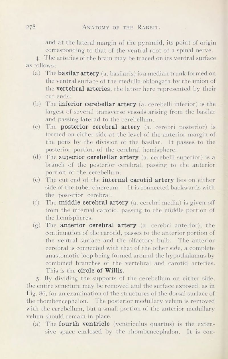 and at the lateral margin of the pyramid, its point of origin corresponding to that of the ventral root of a spinal nerve. 4. The arteries of the brain may be traced on its ventral surface as follows: (a) rhe basilar artery (a. basilaris) is a median trunk formed on the ventral surface of the medulla oblongata by the union of the vertebral arteries, the latter here represented by their cut ends. (b) The inferior cerebellar artery (a. cerebelli inferior) is the largest ol several transverse vessels arising from the basilar and passing laterad. to the cerebellum. (c) The posterior cerebral artery (a. cerebri posterior) is formed on either side at the level of the anterior margin of the pons by the division of the basilar. It passes to the posterior portion of the cerebral hemisphere. (d) The superior cerebellar artery (a. cerebelli superior) is a branch of the posterior cerebral, passing to the anterior portion of the cerebellum. (e) The cut end. of the internal carotid artery lies on either side of the tuber cinereum. It is connected backwards with the posterior cerebral. (f) The middle cerebral artery (a. cerebri media) is given off from the internal carotid, passing to the middle portion of the hemispheres. (g) The anterior cerebral artery (a. cerebri anterior), the continuation of the carotid, passes to the anterior portion of the ventral surface and the olfactory bulb. The anterior cerebral is connected with that of the other side, a complete anastomotic loop being formed around the hypothalamus by combined branches of the vertebral and carotid arteries. This is the circle of Willis. 5. By dividing the supports of the cerebellum on either side, the entire structure may be removed and the surface exposed, as in Fig. 86, for an examination ol the structures of the dorsal surface of the rhombencephalon. The posterior medullary velum is removed with the cerebellum, but a small portion of the anterior medullary velum should remain in place. (a) The fourth ventricle (ventriculus quart us) is the exten- sive space enclosed by the rhombencephalon. It is con-
