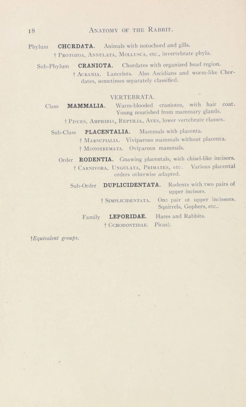 Phylum CHORDATA. Animals with notochord and gills. f Protozoa, Annulata, Mollusca, etc., invertebrate phyla. Sub-Phylum CRANIOTA. Chordates with organized head region. f Acrania. Lancelots. Also Ascidians and worm-like C hor- dates, sometimes separately classified. VERTEBRATA. Class MAMMALIA. Warm-blooded craniotes, with hair coat. Young nourished from mammary glands. f Pisces, Amphibia, Reptilia, Aves, lower vertebrate classes. Sub-Class PLACENTALIA. Mammals with placenta. f Marsupialia. Viviparous mammals without placenta, f Monotremata. Oviparous mammals. Order RODENTIA. Gnawing placentals, with chisel-like incisors, t Carnivora, Ungulata, Primates, etc. Various placental orders otherwise adapted. Sub-Order DUPLICIDENTATA. Rodents with two pairs of upper incisors. f Simplicedentata. One pair ot upper incissors. Squirrels, Gophers, etc.. Family LEPORIDAE. Hares and Rabbits, f CCHODONTIDAE. Picas). fEquivalent groups.