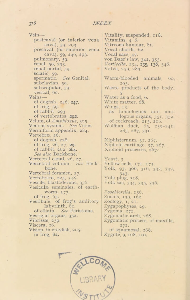 Vein— postcaval (or inferior vena cava), 59, 293. precaval (or superior vena cava), 59, 246, 293. pulmonary, 59. renal, 59, 293. renal portal, 59. sciatic, 59. spermatic. See Genital, subclavian, 59. subscapular, 59. vesical, 60. Veins— of dogfish, 246, 247. of frog, 59. of rabbit, 293. of vertebrates, 292. Velum, of Amphioxus, 305. Venous system. See Veins. Vermiform appendix, 284. Vertebrae, 26. of dogfish, 228. of frog, 26, 27, 29. of rabbit, 262, 264. See also Backbone. Vertebral canal, 26, 27. Vertebral column. See Back- bone. Vertebral foramen, 27. Vertebrata, 225, 348. Vesicle, blastodermic, 336. Vesiculas seminales, of earth- worm, 177. of frog, 65. Vestibule, of frog’s auditory labyrinth, 82. of ciliata. See Peristome. Vestigial organs, 352. Vibrissae, 259. Viscera, 26. Vision, in crayfish, 205. in frog, S2. Vitality, suspended, 118. Vitamins, 4, 6. Vitreous humour, 81. Vocal chords, 62. Vocal sacs, 47. von Baer’s law, 342, 353. Vorticella, 134, 135, 136, 346. Vulva, 259, 289. Warm-blooded animals, 60, 293- Waste products of the body, 5- Water as a food, 6. White matter, 68. Wings, 13. as homologous and ana- logous organs, 351, 352. of cockroach, 213, 216. Wolffian duct, 65, 239-241, 285, 287, 331. Xiphisternum, 37, 267. Xiphoid cartilage, 37, 267. Xiphoid processes, 267. Yeast, 3. Yellow cells, 171, 175. Yolk, 93, 306, 316, 333,. 342, 343- Yolk plug, 318. Yolk sac, 334, 335, 336. Zoochlorella, 156. Zooids, 139, 162. Zoology, 1, 21. Zygapophyses, 29. Zygoma, 271. Zygomatic arch, 268. Zygomatic process, of maxilla, 271. of squamosal, 268. Zygote, 9, 108, no.