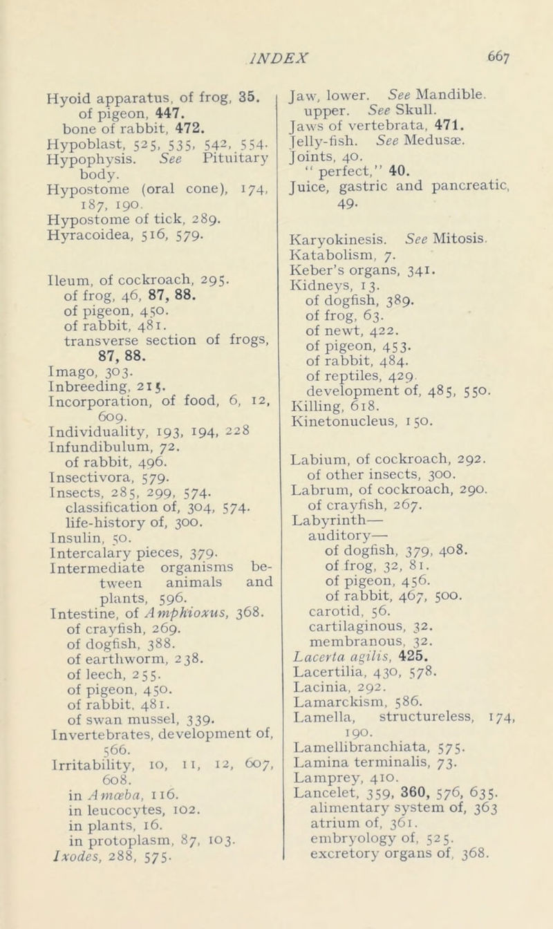 Hyoid apparatus, of frog, 35. of pigeon, 447. bone of rabbit, 472. Hypoblast, 525, 535, 542, 5 54- Hypophysis. See Pituitary body. Hypostome (oral cone), 174, 187, 190. Hypostome of tick, 289. Hyracoidea, 516, 579. Ileum, of cockroach, 295. of frog, 46, 87, 88. of pigeon, 450. of rabbit, 481. transverse section of frogs, 87, 88. Imago, 303. Inbreeding, 215. Incorporation, of food, 6, 12, 609. Individuality, 193, 194, 228 Infundibulum, 72. of rabbit, 496. Insectivora, 579. Insects, 285, 299, 574. classification of, 304, 574. life-history of, 300. Insulin, 50. Intercalary pieces, 379. Intermediate organisms be- tween animals and plants, 596. Intestine, of Amphioxus, 368. of crayfish, 269. of dogfish, 388. of earthworm, 238. of leech, 255. of pigeon, 450. of rabbit, 481. of swan mussel, 339. Invertebrates, development of, 566. Irritability, 10, ix, 12, 607, 608. in A mceba, 116. in leucocytes, 102. in plants, 16. in protoplasm, 87, 103. Ixodes, 288, 575. Jaw, lower. See Mandible, upper. See Skull. Jaws of vertebrata. 471. Jelly-fish. See Medusae. Joints, 40. “ perfect,” 40. Juice, gastric and pancreatic, 49- Karyokinesis. See Mitosis. Katabolism, 7. Keber’s organs, 341. Kidneys, 13. of dogfish, 389. of frog, 63. of newt, 422. of pigeon, 453. of rabbit, 484. of reptiles, 429. development of, 485, 550. Killing, 618. Kinetonucleus, 1 50. Labium, of cockroach, 292. of other insects, 300. Labrum, of cockroach, 290. of crayfish, 267. Labyrinth— auditory— of dogfish, 379, 408. of frog, 32, 81. of pigeon, 456. of rabbit, 467, 500. carotid, 56. cartilaginous, 32. membranous, 32. Lacerta agilis, 425. Lacertilia, 430, 578. Lacinia, 292. Lamarckism, 586. Lamella, structureless, 174, 190. Lamellibranchiata, 575. Lamina terminalis, 73. Lamprey, 410. Lancelet, 359, 360, 576, 635. alimentary system of, 363 atrium of, 361. embryology of, 525. excretory organs of, 368.
