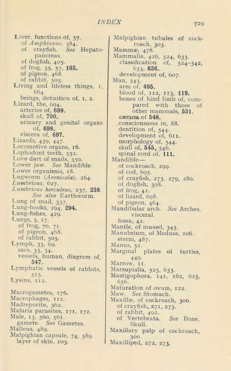 729 Liver, functions of, 57. of Amphioxus, 384. of crayfish. See Hepato- pancreas. of dogfish, 405. of frog. 55. 57. 103. of pigeon, 468. of rabbit, 503. Living and lifeless things, 1, 664. beings, definition of, 1, 2. Lizard, the, 694. arteries of, 699. skull of, 700. urinary and genital organs of, 698. viscera of, 697. Lizards, 439, 447. Locomotive organs, 16. Lophodont teeth, 532. Love dart of snails, 359. Lower jaw. See Mandible. Lower organisms, 18. Lugworm (Arenicola), 264. Lumbricus, 627. Lumbricus herculeus, 237, 238. See also Earthworm. Lung of snail, 357. Lung-books, 294, 294. Lung-fishes, 429. Lungs, 5, 17. of frog, 70, 71. of pigeon, 468. of rabbit, 505. Lymph, 33, 69. sacs, 33, 34. vessels, human, diagram of, 547. Lymphatic vessels of rabbits, 515- Lysins, 112. Macrogametes, 176. Macrophages, 112. Madreporite, 362. Malaria parasites, 171, 172. Male, 13, 560, 561. gamete. See Gametes. Malleus, 489. Malpighian capsule, 74, 589. layer of skin, 103. Malpighian tubules of cock- roach, 303. Mammae, 478. Mammalia, 426, 524, 633. classification of, 524-542, 633, 636. development of, 607. Man, 543. arm of, 495. blood of, xi2, 113, 119. bones of hind limb of, com- pared with those of other mammals, 531. caecum of 548. consciousness in, 88. dentition of, 544. development of, 611. morphology of, 544. skull of, 545, 546. spinal cord of, 111. Mandible— of cockroach, 299. of cod, 695. of crayfish, 275, 279, 280. of dogfish, 398. of frog, 42. of lizard, 698. of pigeon, 464. Mandibular arch. See Arches, visceral, fossa, 42. Mantle, of mussel, 343. Manubrium, of Medusa, 206. sterni, 487. Manus, 32. Marginal plates of turtles, 449- Marrow, 11. Marsupialia, 525, 633. Mastigophora, 141, 162, 625, 656- Maturation of ovum, 122. Maw. See Stomach. Maxillae, of cockroach, 300. of crayfish, 271, 273. of rabbit, 492. of Vertebrata. See Bone, Skull. Maxillary palp of cockroach, 300. Maxilliped, 272, 273.