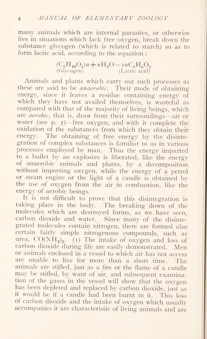 many animals which are internal parasites, or otherwise live in situations which lack free oxygen, break down the substance glycogen (which is related to starch) so as to form lactic acid, according to the equation : (C6 H10O5) n-f n H20=2 n C3H6 03 (Glycogen) (Lactic acid) Animals and plants which carry out such processes as these are said to be anaerobic. Their mode of obtaining energy, since it leaves a residue containing energy of which they have not availed themselves, is wasteful as compared with that of the majority of living beings, which are aerobic, that is, draw from their surroundings—air or water (see p. 5)—free oxygen, and with it complete the oxidation of the substances from which they obtain their energy. The obtaining of free energy by the disinte- gration of complex substances is familiar to us in various processes employed by man. Thus the energy imparted to a bullet by an explosive is liberated, like the energy of anaerobic animals and plants, by a decomposition without importing oxygen, while the energy of a petrol or steam engine or the light of a candle is obtained by the use of oxygen from the air in combustion, like the energy of aerobic beings. It is not difficult to prove that this disintegration is taking place in the body. The breaking down of the molecules which are destroyed forms, as we have seen, carbon dioxide and water. Since many of the disinte- grated molecules contain nitrogen, there are formed also certain fairly simple nitrogenous compounds, such as urea, CO(NH2)2. (1) The intake of oxygen and loss of carbon dioxide during life are easily demonstrated. Men or animals enclosed in a vessel to which air has not access are unable to live for more than a short time. The animals are stifled, just as a fire or the flame of a candle may be stifled, by want of air, and subsequent examina- tion of the gases in the vessel will show that the oxygen has been depleted and replaced by carbon dioxide, just as it would be if a candle had been burnt in it. This loss of carbon dioxide and the intake of oxygen which usually accompanies it are characteristic of living animals and are