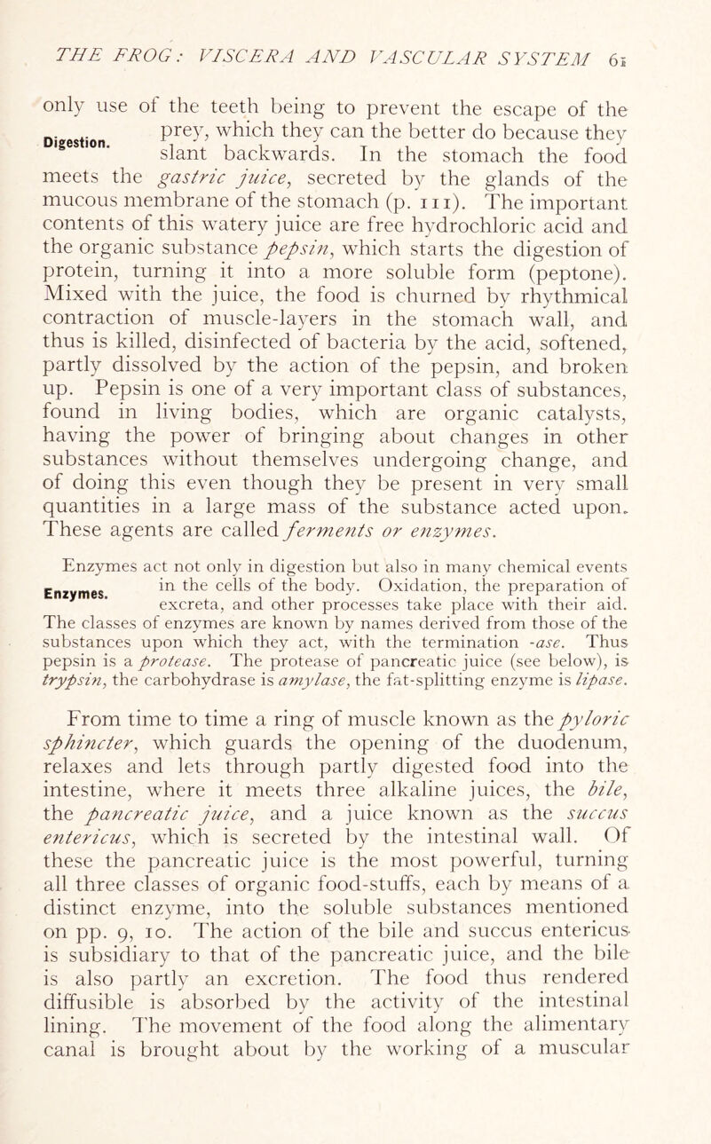 only use ol the teeth being to prevent the escape of the Di estion Pre3b which they can the better do because they slant backwards. In the stomach the food meets the gastric juice, secreted by the glands of the mucous membrane of the stomach (p. in). The important, contents of this watery juice are free hydrochloric acid and the organic substance pepsin, which starts the digestion of protein, turning it into a more soluble form (peptone). Mixed with the juice, the food is churned by rhythmical contraction of muscle-layers in the stomach wall, and thus is killed, disinfected of bacteria by the acid, softened, partly dissolved by the action of the pepsin, and broken up. Pepsin is one of a very important class of substances, found in living bodies, which are organic catalysts, having the power of bringing about changes in other substances without themselves undergoing change, and of doing this even though they be present in very small quantities in a large mass of the substance acted upon. These agents are called ferments or enzymes. Enzymes act not only in digestion but also in many chemical events Enzymes i*1 ce^s °f the body. Oxidation, the preparation of excreta, and other processes take place with their aid. The classes of enzymes are known by names derived from those of the substances upon which they act, with the termination -ase. Thus pepsin is a protease. The protease of pancreatic juice (see below), is trypsin, the carbohydrase is amylase, the fat-splitting enzyme is lipase. From time to time a ring of muscle known as the pyloric sphincter, which guards the opening of the duodenum, relaxes and lets through partly digested food into the intestine, where it meets three alkaline juices, the bile, the pancreatic juice, and a juice known as the succus entericus, which is secreted by the intestinal wall. Of these the pancreatic juice is the most powerful, turning all three classes of organic food-stuffs, each by means ot a distinct enzyme, into the soluble substances mentioned on pp. 9, io. The action of the bile and succus entericus- is subsidiary to that of the pancreatic juice, and the bile is also partly an excretion. The food thus rendered diffusible is absorbed by the activity of the intestinal lining. The movement of the food along the alimentary canal is brought about by the working of a muscular
