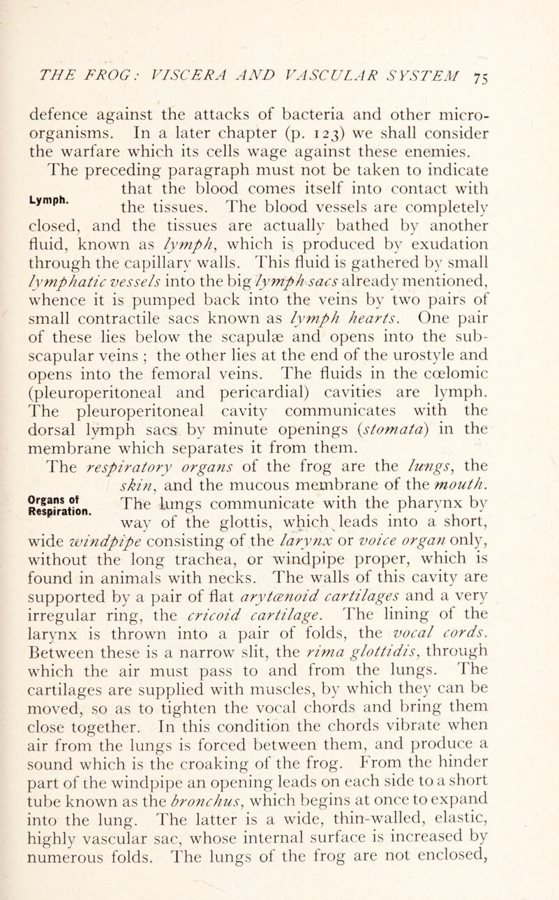 defence against the attacks of bacteria and other micro- organisms. In a later chapter (p. 123) we shall consider the warfare which its cells wage against these enemies. The preceding paragraph must not be taken to indicate that the blood comes itself into contact with Lymph. the tissues. The blood vessels are completely closed, and the tissues are actually bathed by another fluid, known as lymph, which is produced by exudation through the capillary walls. This fluid is gathered by small lymphatic vessels into the big lymph sacs already mentioned, whence it is pumped back into the veins by two pairs of small contractile sacs known as lymph hearts. One pair of these lies below the scapulae and opens into the sub- scapular veins ; the other lies at the end of the urostyle and opens into the femoral veins. The fluids in the coelomic (pleuroperitoneal and pericardial) cavities are lymph. The pleuroperitoneal cavity communicates with the dorsal lymph sacs by minute openings (stomata) in the membrane which separates it from them. The respiratory organs of the frog are the lungs, the shin, and the mucous membrane of the mouth. Respiration The iungs communicate with the pharynx by way of the glottis, which leads into a short, wide windpipe consisting of the larynx or voice organ only, without the long trachea, or windpipe proper, which is found in animals with necks. The walls of this cavity are supported by a pair of flat arytcenoid cartilages and a very irregular ring, the cricoid cartilage. The lining of the larynx is thrown into a pair of folds, the vocal cords. Between these is a narrow slit, the rim a glottidis, through which the air must pass to and from the lungs. The cartilages are supplied with muscles, by which they can be moved, so as to tighten the vocal chords and bring them close together. In this condition the chords vibrate when air from the lungs is forced between them, and produce a sound which is the croaking of the frog. From the hinder part of the windpipe an opening leads on each side to a short tube known as the bronchus, which begins at once to expand into the lung. The latter is a wide, thin-walled, elastic, highly vascular sac, whose internal surface is increased by numerous folds. The lungs of the frog are not enclosed,