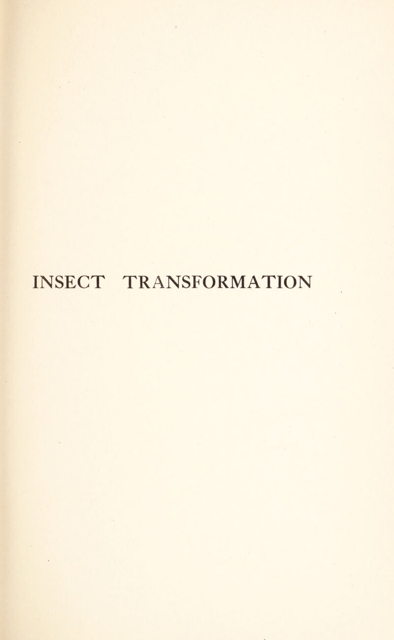 INSECT TRANSFORMATION