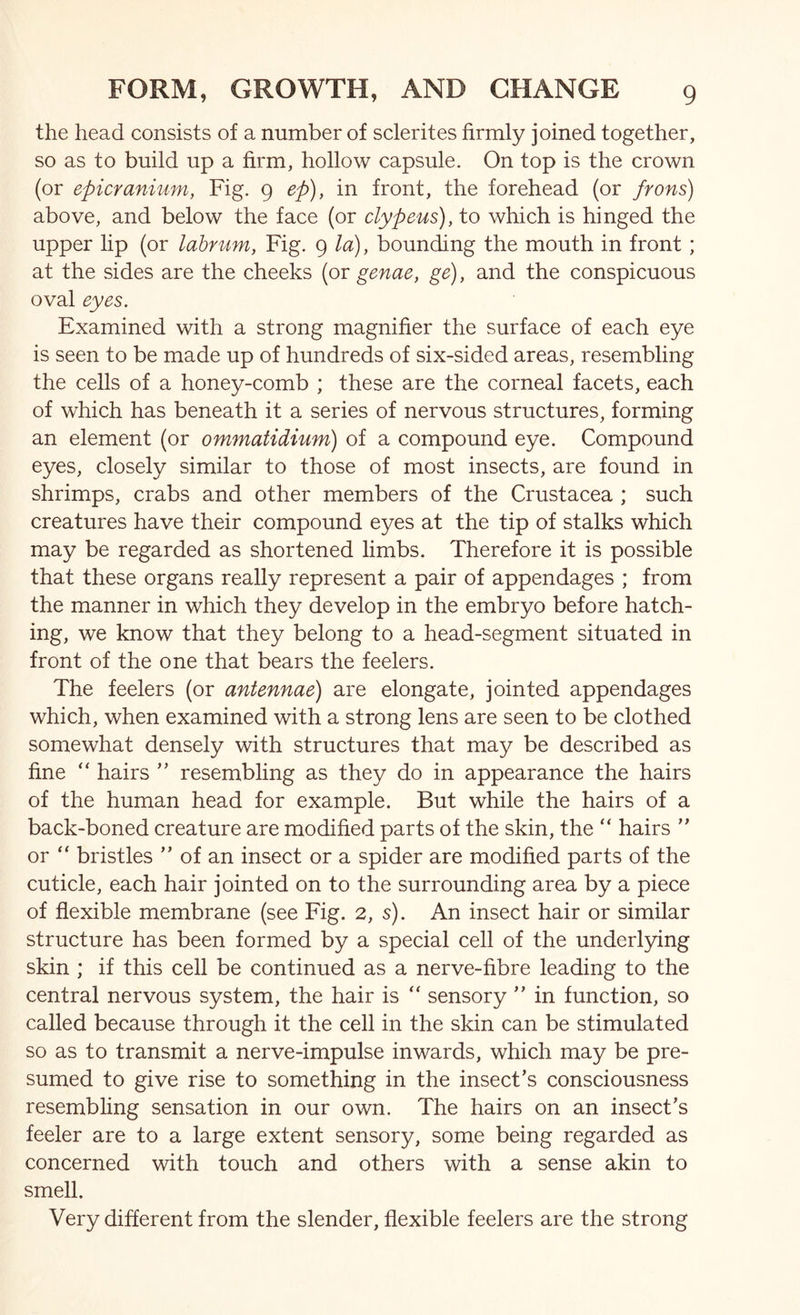 the head consists of a number of sclerites firmly joined together, so as to build up a firm, hollow capsule. On top is the crown (or epicranium, Fig. 9 ep), in front, the forehead (or frons) above, and below the face (or clypeus), to which is hinged the upper lip (or lahrum, Fig. 9 la), bounding the mouth in front; at the sides are the cheeks (or genae, ge), and the conspicuous oval eyes. Examined with a strong magnifier the surface of each eye is seen to be made up of hundreds of six-sided areas, resembling the cells of a honey-comb ; these are the corneal facets, each of which has beneath it a series of nervous structures, forming an element (or ommatidium) of a compound eye. Compound eyes, closely similar to those of most insects, are found in shrimps, crabs and other members of the Crustacea ; such creatures have their compound eyes at the tip of stalks which may be regarded as shortened limbs. Therefore it is possible that these organs really represent a pair of appendages ; from the manner in which they develop in the embryo before hatch- ing, we know that they belong to a head-segment situated in front of the one that bears the feelers. The feelers (or antennae) are elongate, jointed appendages which, when examined with a strong lens are seen to be clothed somewhat densely with structures that may be described as fine “ hairs resembling as they do in appearance the hairs of the human head for example. But while the hairs of a back-boned creature are modified parts of the skin, the “ hairs or “ bristles ” of an insect or a spider are modified parts of the cuticle, each hair jointed on to the surrounding area by a piece of flexible membrane (see Fig. 2, s). An insect hair or similar structure has been formed by a special cell of the underl5dng skin ; if this cell be continued as a nerve-fibre leading to the central nervous system, the hair is “ sensory ” in function, so called because through it the cell in the skin can be stimulated so as to transmit a nerve-impulse inwards, which may be pre- sumed to give rise to something in the insect’s consciousness resembhng sensation in our own. The hairs on an insect’s feeler are to a large extent sensory, some being regarded as concerned with touch and others with a sense akin to smell. Very different from the slender, flexible feelers are the strong