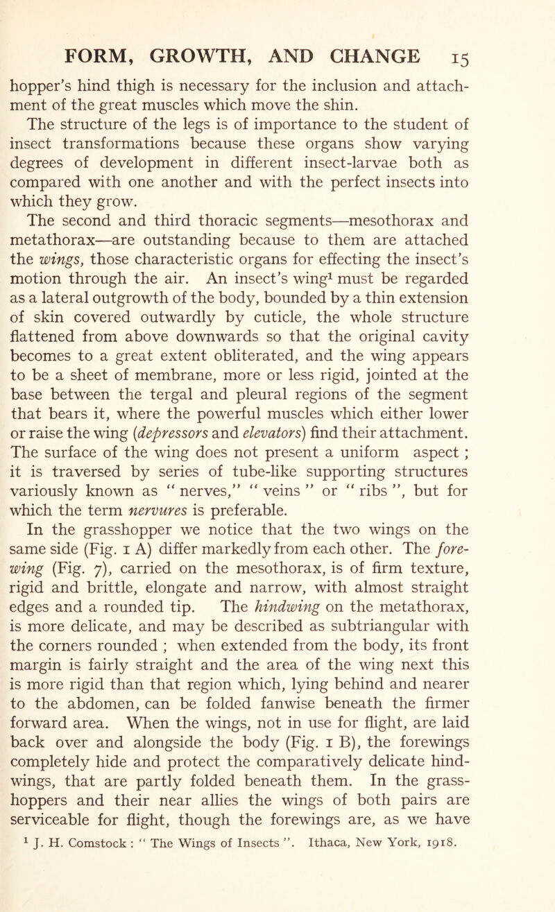 hopper’s hind thigh is necessary for the inclusion and attach- ment of the great muscles which move the shin. The structure of the legs is of importance to the student of insect transformations because these organs show varying degrees of development in different insect-larvae both as compared with one another and with the perfect insects into which they grow. The second and third thoracic segments—mesothorax and metathorax—are outstanding because to them are attached the wings, those characteristic organs for effecting the insect’s motion through the air. An insect’s wing^ must be regarded as a lateral outgrowth of the body, bounded by a thin extension of skin covered outwardly by cuticle, the whole structure flattened from above downwards so that the original cavity becomes to a great extent obliterated, and the wing appears to be a sheet of membrane, more or less rigid, jointed at the base between the tergal and pleural regions of the segment that bears it, where the powerful muscles which either lower or raise the wing {depressors and elevators) find their attachment. The surface of the wing does not present a uniform aspect; it is traversed by series of tube-like supporting structures variously known as “ nerves,” ‘‘ veins ” or “ ribs ”, but for which the term nervures is preferable. In the grasshopper we notice that the two wings on the same side (Fig. i A) differ markedly from each other. The fore- wing (Fig. 7), carried on the mesothorax, is of firm texture, rigid and brittle, elongate and narrow, with almost straight edges and a rounded tip. The hindwing on the metathorax, is more delicate, and may be described as subtriangular with the corners rounded ; when extended from the body, its front margin is fairly straight and the area of the wing next this is more rigid than that region which, lying behind and nearer to the abdomen, can be folded fanwise beneath the firmer forward area. When the wings, not in use for flight, are laid back over and alongside the body (Fig. i B), the forewings completely hide and protect the comparatively delicate hind- wings, that are partly folded beneath them. In the grass- hoppers and their near alHes the wings of both pairs are serviceable for flight, though the forewings are, as we have ^ J. H. Comstock : “ The Wings of Insects ”. Ithaca, New York, 1918.