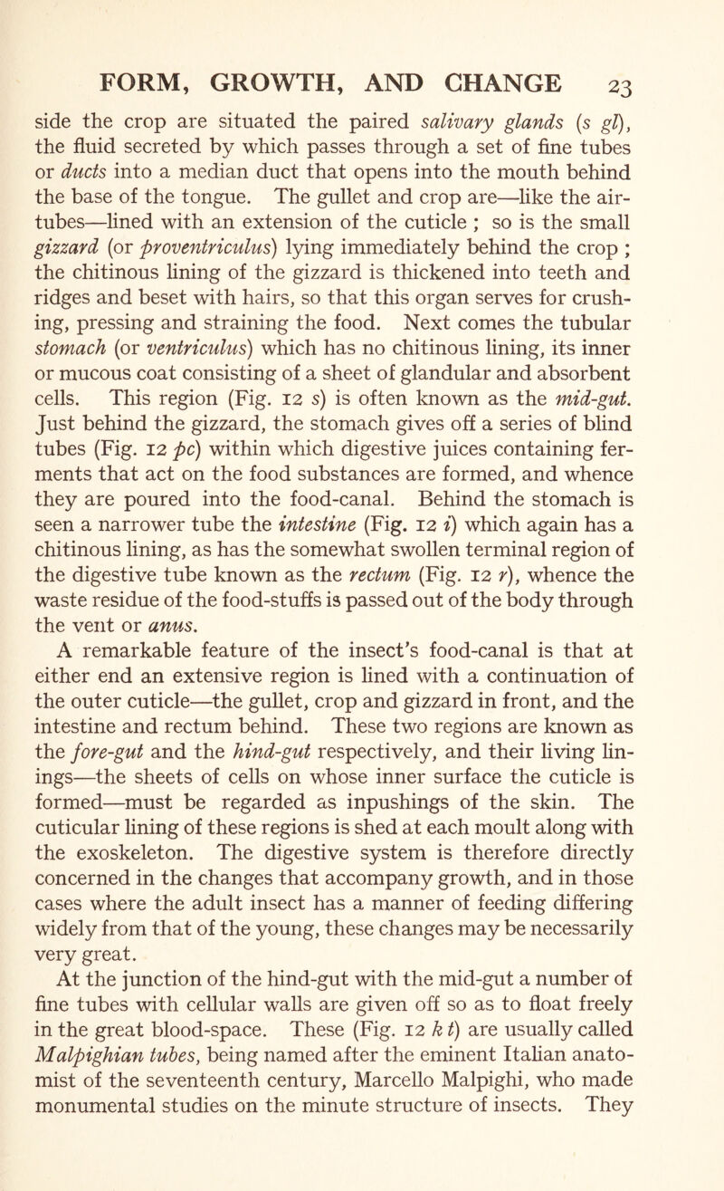 side the crop are situated the paired salivary glands {s gl), the fluid secreted by which passes through a set of fine tubes or ducts into a median duct that opens into the mouth behind the base of the tongue. The gullet and crop are—^like the air- tubes—lined with an extension of the cuticle ; so is the small gizzard (or proventriculus) lying immediately behind the crop ; the chitinous lining of the gizzard is thickened into teeth and ridges and beset with hairs, so that this organ serves for crush- ing, pressing and straining the food. Next comes the tubular stomach (or ventriculus) which has no chitinous lining, its inner or mucous coat consisting of a sheet of glandular and absorbent cells. This region (Fig. 12 s) is often known as the mid-gut. Just behind the gizzard, the stomach gives off a series of blind tubes (Fig. 12 pc) within which digestive juices containing fer- ments that act on the food substances are formed, and whence they are poured into the food-canal. Behind the stomach is seen a narrower tube the intestine (Fig. 12 i) which again has a chitinous lining, as has the somewhat swollen terminal region of the digestive tube known as the rectum (Fig. 12 r), whence the waste residue of the food-stuffs is passed out of the body through the vent or anus. A remarkable feature of the insect’s food-canal is that at either end an extensive region is lined with a continuation of the outer cuticle—^the gullet, crop and gizzard in front, and the intestine and rectum behind. These two regions are known as the fore-gut and the hind-gut respectively, and their living fin- ings—the sheets of cells on whose inner surface the cuticle is formed—must be regarded as inpushings of the skin. The cuticular fining of these regions is shed at each moult along with the exoskeleton. The digestive system is therefore directly concerned in the changes that accompany growth, and in those cases where the adult insect has a manner of feeding differing widely from that of the young, these changes may be necessarily very great. At the junction of the hind-gut with the mid-gut a number of fine tubes with cellular walls are given off so as to float freely in the great blood-space. These (Fig. 12 kt) are usually called Malpighian tubes, being named after the eminent Italian anato- mist of the seventeenth century, Marcello Malpighi, who made monumental studies on the minute structure of insects. They