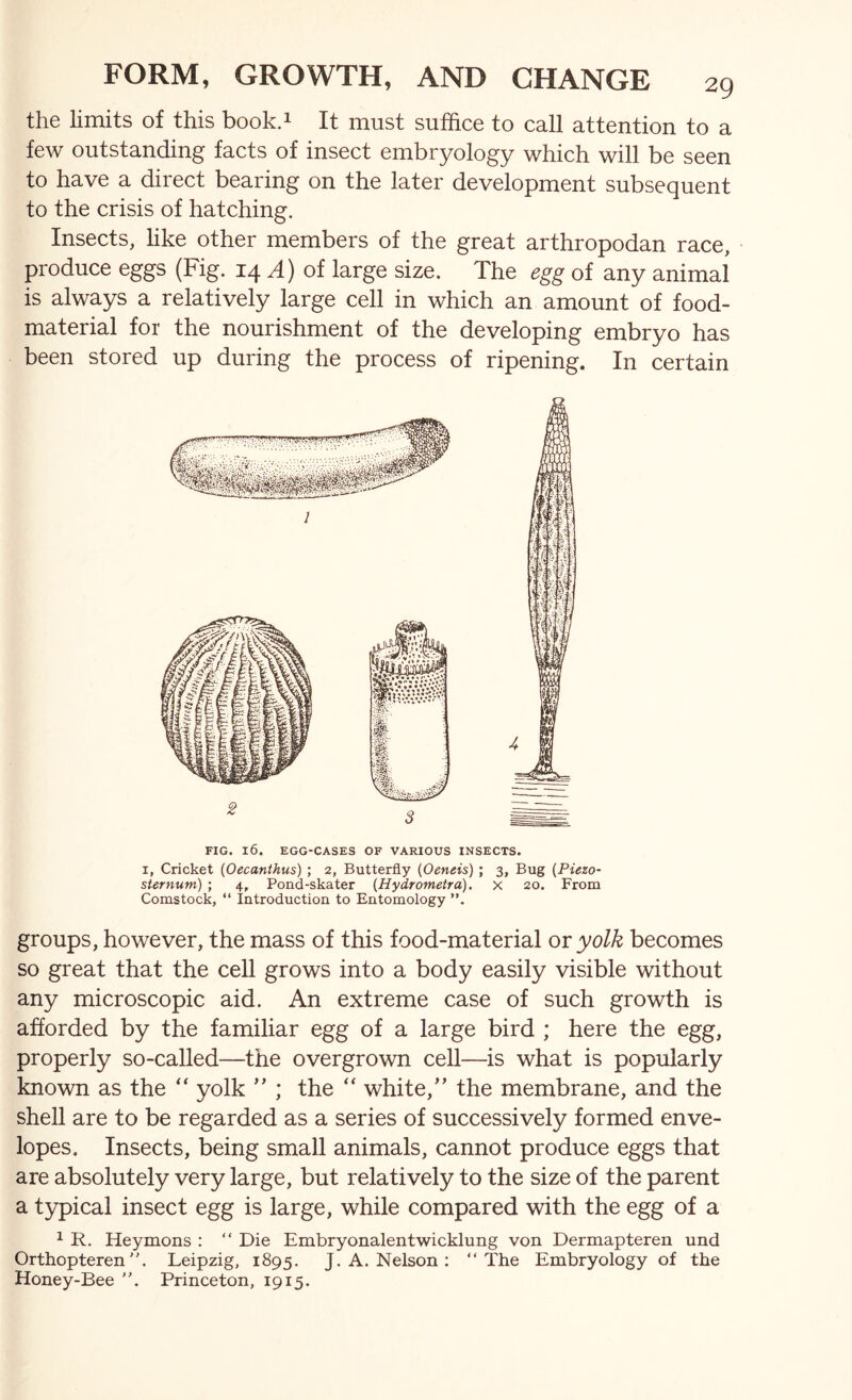 the limits of this book.i It must suffice to call attention to a few outstanding facts of insect embryology which will be seen to have a direct bearing on the later development subsequent to the crisis of hatching. Insects, Hke other members of the great arthropodan race, produce eggs (Fig. 14 of large size. The egg of any animal is always a relatively large cell in which an amount of food- material for the nourishment of the developing embryo has been stored up during the process of ripening. In certain FIG. 16. EGG-CASES OF VARIOUS INSECTS. I, Cricket (Oecanthus) ; 2, Butterfly {Oeneis) ; 3, Bug (Piezo- sternum) ; 4, Pond-skater (Hydrometra). x 20. From Comstock, “ introduction to Entomology ”. groups, however, the mass of this food-material oi yolk becomes so great that the cell grows into a body easily visible without any microscopic aid. An extreme case of such growth is afforded by the familiar egg of a large bird ; here the egg, properly so-called—the overgrown cell—is what is popularly known as the yolk ” ; the ‘‘ white,'’ the membrane, and the shell are to be regarded as a series of successively formed enve- lopes, Insects, being small animals, cannot produce eggs that are absolutely very large, but relatively to the size of the parent a typical insect egg is large, while compared with the egg of a ^ R. Heymons : “ Die Embryonalentwicklung von Dermapteren und Orthopteren. Leipzig, 1895. J. A. Nelson ; “The Embryology of the Honey-Bee ”. Princeton, 1915.