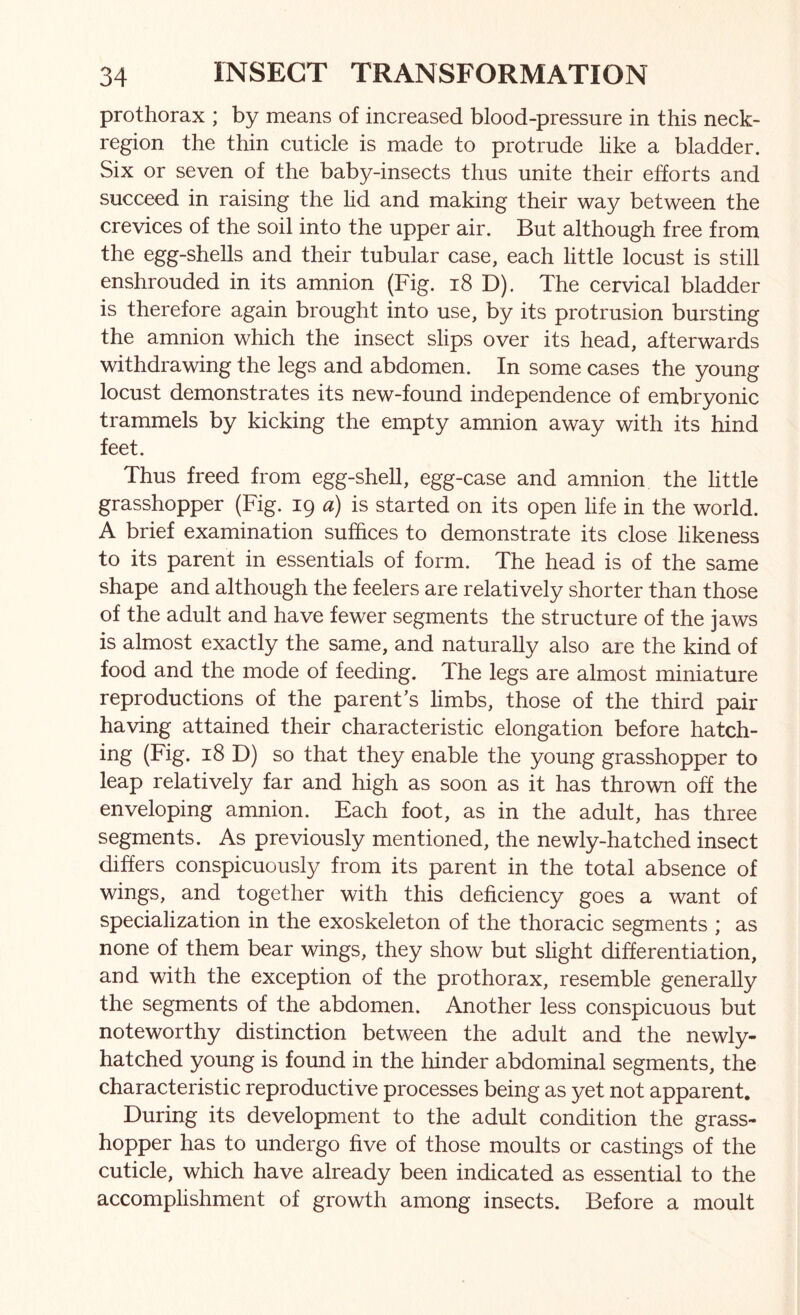 prothorax ; by means of increased blood-pressure in this neck- region the thin cuticle is made to protrude like a bladder. Six or seven of the baby-insects thus unite their efforts and succeed in raising the lid and making their way between the crevices of the soil into the upper air. But although free from the egg-shells and their tubular case, each little locust is still enshrouded in its amnion (Fig. i8 D). The cervical bladder is therefore again brought into use, by its protrusion bursting the amnion which the insect slips over its head, afterwards withdrawing the legs and abdomen. In some cases the young locust demonstrates its new-found independence of embryonic trammels by kicking the empty amnion away with its hind feet. Thus freed from egg-shell, egg-case and amnion the little grasshopper (Fig. 19 a) is started on its open life in the world. A brief examination suffices to demonstrate its close likeness to its parent in essentials of form. The head is of the same shape and although the feelers are relatively shorter than those of the adult and have fewer segments the structure of the jaws is almost exactly the same, and naturally also are the kind of food and the mode of feeding. The legs are almost miniature reproductions of the parent’s limbs, those of the third pair having attained their characteristic elongation before hatch- ing (Fig. 18 D) so that they enable the young grasshopper to leap relatively far and high as soon as it has thrown off the enveloping amnion. Each foot, as in the adult, has three segments. As previously mentioned, the newly-hatched insect differs conspicuously from its parent in the total absence of wings, and together with this deficiency goes a want of specialization in the exoskeleton of the thoracic segments ; as none of them bear wings, they show but slight differentiation, and with the exception of the prothorax, resemble generally the segments of the abdomen. Another less conspicuous but noteworthy distinction between the adult and the newly- hatched young is found in the hinder abdominal segments, the characteristic reproductive processes being as yet not apparent. During its development to the adult condition the grass- hopper has to undergo five of those moults or castings of the cuticle, which have already been indicated as essential to the accomplishment of growth among insects. Before a moult