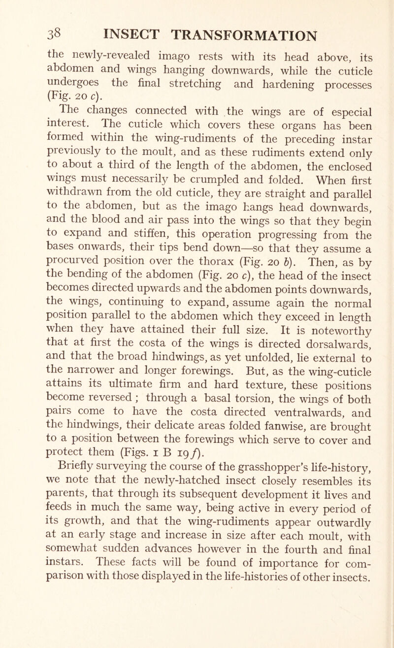 the newly-revealed imago rests with its head above, its abdomen and wings hanging downwards, while the cuticle undergoes the final stretching and hardening processes (Fig. 20 c). The changes connected with the wings are of especial interest. The cuticle which covers these organs has been formed within the wing-rudiments of the preceding instar previously to the moult, and as these rudiments extend only to about a third of the length of the abdomen, the enclosed wings must necessarily be crumpled and folded. When first withdrawn from the old cuticle, they are straight and parallel to the abdomen, but as the imago hangs head downwards, and the blood and air pass into the wings so that they begin to expand and stiffen, this operation progressing from the bases onwards, their tips bend down—so that they assume a procurved position over the thorax (Fig. 20 h). Then, as by the bending of the abdomen (Fig. 20 c), the head of the insect becomes directed upwards and the abdomen points downwards, the wings, continuing to expand, assume again the normal position parallel to the abdomen which they exceed in length when they have attained their full size. It is noteworthy that at first the costa of the wings is directed dorsalwards, and that the broad hindwings, as yet unfolded, lie external to the narrower and longer fore wings. But, as the wing-cuticle attains its ultimate firm and hard texture, these positions become reversed ; through a basal torsion, the wings of both pairs come to have the costa directed ventralwards, and the hindwings, their delicate areas folded fanwise, are brought to a position between the forewings which serve to cover and protect them (Figs, i B 19/). Briefly surveying the course of the grasshopper’s hfe-history, we note that the newly-hatched insect closely resembles its parents, that through its subsequent development it lives and feeds in much the same way, being active in every period of its growth, and that the wing-rudiments appear outwardly at an early stage and increase in size after each moult, with somewhat sudden advances however in the fourth and final instars. These facts will be found of importance for com- parison with those displayed in the life-histories of other insects.