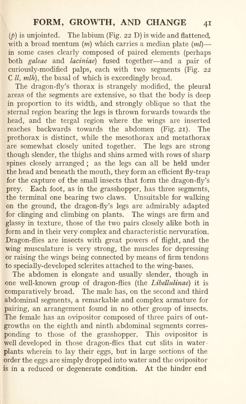 (p) is unjointed. The labium (Fig. 22 D) is wide and flattened, with a broad mentum [m) which carries a median plate {ml)— in some cases clearly composed of paired elements (perhaps both galeae and laciniae) fused together—and a pair of curiously-modified palps, each with two segments (Fig. 22 C ll, mlh), the basal of which is exceedingly broad. The dragon-fly’s thorax is strangely modified, the pleural areas of the segments are extensive, so that the body is deep in proportion to its width, and strongly oblique so that the sternal region bearing the legs is thrown forwards towards the head, and the tergal region where the wings are inserted reaches backwards towards the abdomen (Fig. 21). The prothorax is distinct, while the mesothorax and metathorax are somewhat closely united together. The legs are strong though slender, the thighs and shins armed with rows of sharp spines closely arranged ; as the legs can all be held under the head and beneath the mouth, they form an efficient fly-trap for the capture of the small insects that form the dragon-fly’s prey. Each foot, as in the grasshopper, has three segments, the terminal one bearing two claws. Unsuitable for walking on the ground, the dragon-fly’s legs are admirably adapted for clinging and climbing on plants. The wings are firm and glassy in texture, those of the two pairs closely alike both in form and in their very complex and characteristic nervuration. Dragon-flies are insects with great powers of flight, and the wing musculature is very strong, the muscles for depressing or raising the wings being connected by means of firm tendons to specially-developed sclerites attached to the wing-bases. The abdomen is elongate and usually slender, though in one well-known group of dragon-flies (the Lihellulinae) it is comparatively broad. The male has, on the second and third abdominal segments, a remarkable and complex armature for pairing, an arrangement found in no other group of insects. The female has an ovipositor composed of three pairs of out- growths on the eighth and ninth abdominal segments corres- ponding to those of the grasshopper. This ovipositor is well developed in those dragon-flies that cut slits in water - plants wherein to lay their eggs, but in large sections of the order the eggs are simply dropped into water and the ovipositor is in a reduced or degenerate condition. At the hinder end