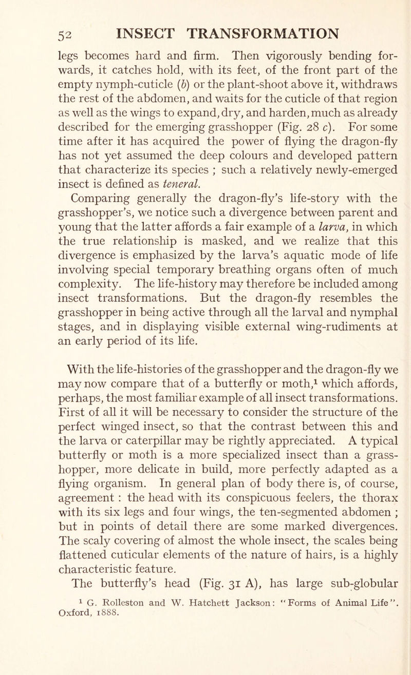 legs becomes hard and firm. Then vigorously bending for- wards, it catches hold, with its feet, of the front part of the empty nymph-cuticle (b) or the plant-shoot above it, withdraws the rest of the abdomen, and waits for the cuticle of that region as well as the wings to expand, dry, and harden, much as already described for the emerging grasshopper (Fig. 28 c). For some time after it has acquired the power of flying the dragon-fly has not yet assumed the deep colours and developed pattern that characterize its species ; such a relatively newly-emerged insect is defined as teneral. Comparing generally the dragon-fly’s life-story with the grasshopper’s, we notice such a divergence between parent and young that the latter affords a fair example of a larva, in which the true relationship is masked, and we realize that this divergence is emphasized by the larva’s aquatic mode of life involving special temporary breathing organs often of much complexity. The life-history may therefore be included among insect transformations. But the dragon-fly resembles the grasshopper in being active through all the larval and nymphal stages, and in displaying visible external wing-rudiments at an early period of its life. With the life-histories of the grasshopper and the dragon-fly we may now compare that of a butterfly or moth,^ which affords, perhaps, the most familiar example of all insect transformations. First of all it will be necessary to consider the structure of the perfect winged insect, so that the contrast between this and the larva or caterpillar may be rightly appreciated. A typical butterfly or moth is a more specialized insect than a grass- hopper, more delicate in build, more perfectly adapted as a flying organism. In general plan of body there is, of course, agreement : the head with its conspicuous feelers, the thorax with its six legs and four wings, the ten-segmented abdomen ; but in points of detail there are some marked divergences. The scaly covering of almost the whole insect, the scales being flattened cuticular elements of the nature of hairs, is a highly characteristic feature. The butterfly’s head (Fig. 31 A), has large sub-globular 1 G. Rolleston and W. Hatchett Jackson: “Forms of Animal Life”. Oxford, 1888,