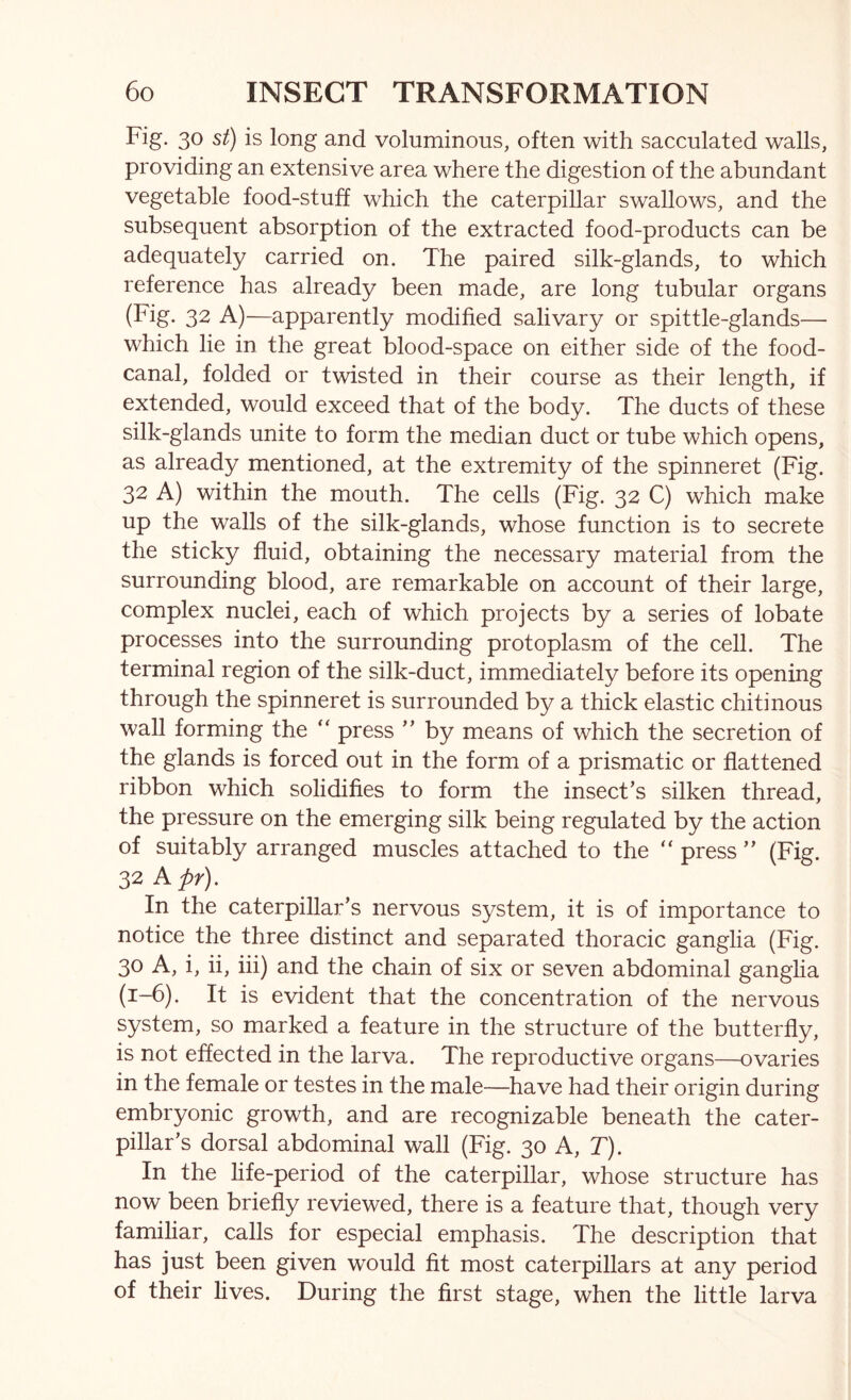 Fig. 30 st) is long and voluminous, often with sacculated walls, providing an extensive area where the digestion of the abundant vegetable food-stuff which the caterpillar swallows, and the subsequent absorption of the extracted food-products can be adequately carried on. The paired silk-glands, to which reference has already been made, are long tubular organs (Fig. 32 A)—apparently modified salivary or spittle-glands— which lie in the great blood-space on either side of the food- canal, folded or twisted in their course as their length, if extended, would exceed that of the body. The ducts of these silk-glands unite to form the median duct or tube which opens, as already mentioned, at the extremity of the spinneret (Fig. 32 A) within the mouth. The cells (Fig. 32 C) which make up the walls of the silk-glands, whose function is to secrete the sticky fluid, obtaining the necessary material from the surrounding blood, are remarkable on account of their large, complex nuclei, each of which projects by a series of lobate processes into the surrounding protoplasm of the cell. The terminal region of the silk-duct, immediately before its opening through the spinneret is surrounded by a thick elastic chitinous wall forming the press ” by means of which the secretion of the glands is forced out in the form of a prismatic or flattened ribbon which solidifies to form the insect’s silken thread, the pressure on the emerging silk being regulated by the action of suitably arranged muscles attached to the “ press ” (Fig. 32 Apr). In the caterpillar’s nervous system, it is of importance to notice the three distinct and separated thoracic ganglia (Fig. 30 A, i, ii, iii) and the chain of six or seven abdominal ganglia (1-6). It is evident that the concentration of the nervous system, so marked a feature in the structure of the butterfly, is not effected in the larva. The reproductive organs—ovaries in the female or testes in the male—have had their origin during embryonic growth, and are recognizable beneath the cater- pillar’s dorsal abdominal wall (Fig. 30 A, T). In the life-period of the caterpillar, whose structure has now been briefly reviewed, there is a feature that, though very familiar, calls for especial emphasis. The description that has just been given would fit most caterpillars at any period of their lives. During the first stage, when the little larva