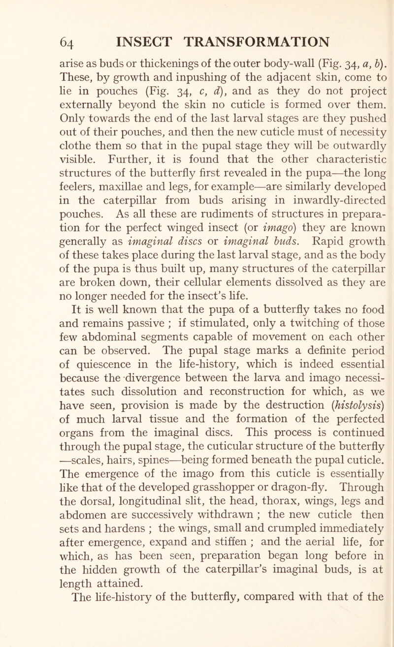 arise as buds or thickenings of the outer body-wall (Fig. 34, a, h). These, by growth and inpushing of the adjacent skin, come to lie in pouches (Fig. 34, c, d), and as they do not project externally beyond the skin no cuticle is formed over them. Only towards the end of the last larval stages are they pushed out of their pouches, and then the new cuticle must of necessity clothe them so that in the pupal stage they will be outwardly visible. Further, it is found that the other characteristic structures of the butterfly first revealed in the pupa—the long feelers, maxillae and legs, for example—are similarly developed in the caterpillar from buds arising in inwardly-directed pouches. As all these are rudiments of structures in prepara- tion for the perfect winged insect (or imago) they are known generally as imaginal discs or imaginal buds. Rapid growth of these takes place during the last larval stage, and as the body of the pupa is thus built up, many structures of the caterpillar are broken down, their cellular elements dissolved as they are no longer needed for the insect’s life. It is well known that the pupa of a butterfly takes no food and remains passive ; if stimulated, only a twitching of those few abdominal segments capable of movement on each other can be observed. The pupal stage marks a definite period of quiescence in the life-history, which is indeed essential because the divergence between the larva and imago necessi- tates such dissolution and reconstruction for which, as we have seen, provision is made by the destruction {histolysis) of much larval tissue and the formation of the perfected organs from the imaginal discs. This process is continued through the pupal stage, the cuticular structure of the butterfly —scales, hairs, spines—being formed beneath the pupal cuticle. The emergence of the imago from this cuticle is essentially like that of the developed grasshopper or dragon-fly. Through the dorsal, longitudinal slit, the head, thorax, wings, legs and abdomen are successively withdrawn ; the new cuticle then sets and hardens ; the wings, small and crumpled immediately after emergence, expand and stiffen ; and the aerial life, for which, as has been seen, preparation began long before in the hidden growth of the caterpillar’s imaginal buds, is at length attained. The life-history of the butterfly, compared with that of the
