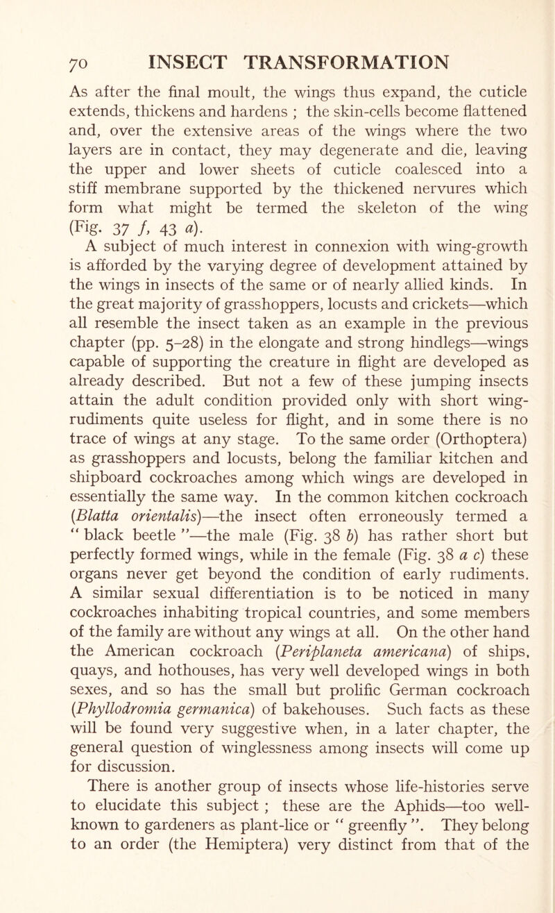 As after the final moult, the wings thus expand, the cuticle extends, thickens and hardens ; the skin-cells become flattened and, over the extensive areas of the wings where the two layers are in contact, they may degenerate and die, leaving the upper and lower sheets of cuticle coalesced into a stiff membrane supported by the thickened nervures which form what might be termed the skeleton of the wing (Fig. 37 /. 43 «)• A subject of much interest in connexion with wing-growth is afforded by the varying degree of development attained by the wings in insects of the same or of nearly allied kinds. In the great majority of grasshoppers, locusts and crickets—which all resemble the insect taken as an example in the previous chapter (pp. 5-28) in the elongate and strong hindlegs—wings capable of supporting the creature in flight are developed as already described. But not a few of these jumping insects attain the adult condition provided only with short wing- rudiments quite useless for flight, and in some there is no trace of wings at any stage. To the same order (Orthoptera) as grasshoppers and locusts, belong the familiar kitchen and shipboard cockroaches among which wings are developed in essentially the same way. In the common kitchen cockroach [Blatta orientalis)—the insect often erroneously termed a “ black beetle ”—the male (Fig. 38 h) has rather short but perfectly formed wings, while in the female (Fig. 38 a c) these organs never get beyond the condition of early rudiments. A similar sexual differentiation is to be noticed in many cockroaches inhabiting tropical countries, and some members of the family are without any wings at all. On the other hand the American cockroach [Periplaneta americana) of ships, quays, and hothouses, has very well developed wings in both sexes, and so has the small but prolific German cockroach {Phyllodromia germanica) of bakehouses. Such facts as these will be found very suggestive when, in a later chapter, the general question of winglessness among insects will come up for discussion. There is another group of insects whose life-histories serve to elucidate this subject ; these are the Aphids—too well- known to gardeners as plant-lice or ‘‘ greenfly They belong to an order (the Hemiptera) very distinct from that of the