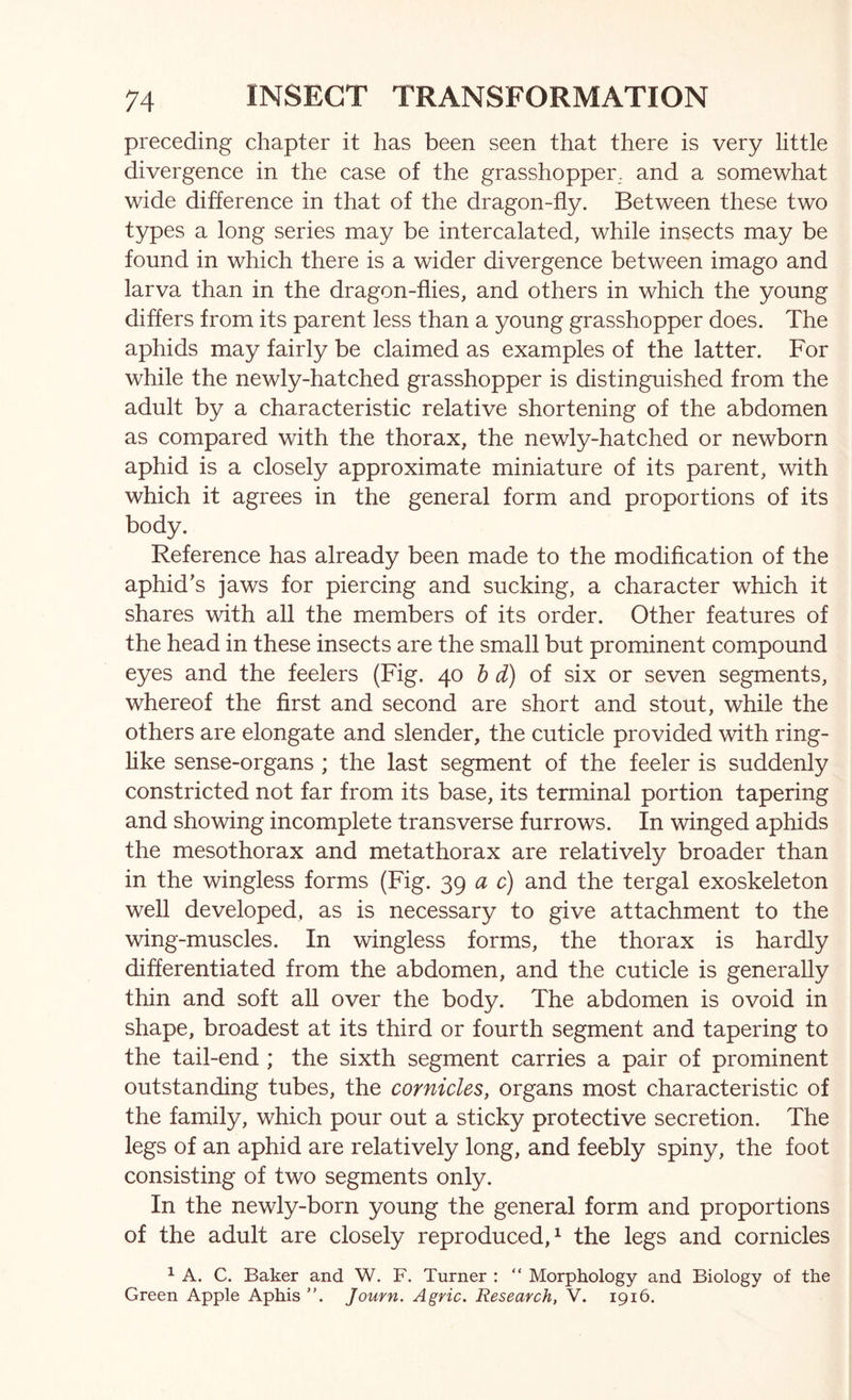 preceding chapter it has been seen that there is very little divergence in the case of the grasshopper, and a somewhat wide difference in that of the dragon-fly. Between these two types a long series may be intercalated, while insects may be found in which there is a wider divergence between imago and larva than in the dragon-flies, and others in which the young differs from its parent less than a young grasshopper does. The aphids may fairly be claimed as examples of the latter. For while the newly-hatched grasshopper is distinguished from the adult by a characteristic relative shortening of the abdomen as compared with the thorax, the newly-hatched or newborn aphid is a closely approximate miniature of its parent, with which it agrees in the general form and proportions of its body. Reference has already been made to the modification of the aphid's jaws for piercing and sucking, a character which it shares with all the members of its order. Other features of the head in these insects are the small but prominent compound eyes and the feelers (Fig. 40 h d) of six or seven segments, whereof the first and second are short and stout, while the others are elongate and slender, the cuticle provided with ring- like sense-organs ; the last segment of the feeler is suddenly constricted not far from its base, its terminal portion tapering and showing incomplete transverse furrows. In winged aphids the mesothorax and metathorax are relatively broader than in the wingless forms (Fig. 39 a c) and the tergal exoskeleton well developed, as is necessary to give attachment to the wing-muscles. In wingless forms, the thorax is hardly differentiated from the abdomen, and the cuticle is generally thin and soft all over the body. The abdomen is ovoid in shape, broadest at its third or fourth segment and tapering to the tail-end; the sixth segment carries a pair of prominent outstanding tubes, the cornicles, organs most characteristic of the family, which pour out a sticky protective secretion. The legs of an aphid are relatively long, and feebly spiny, the foot consisting of two segments only. In the newly-born young the general form and proportions of the adult are closely reproduced,^ the legs and cornicles ^ A. C. Baker and W. F. Turner : “ Morphology and Biology of the Green Apple Aphis Journ. Agric. Research, V. 1916.