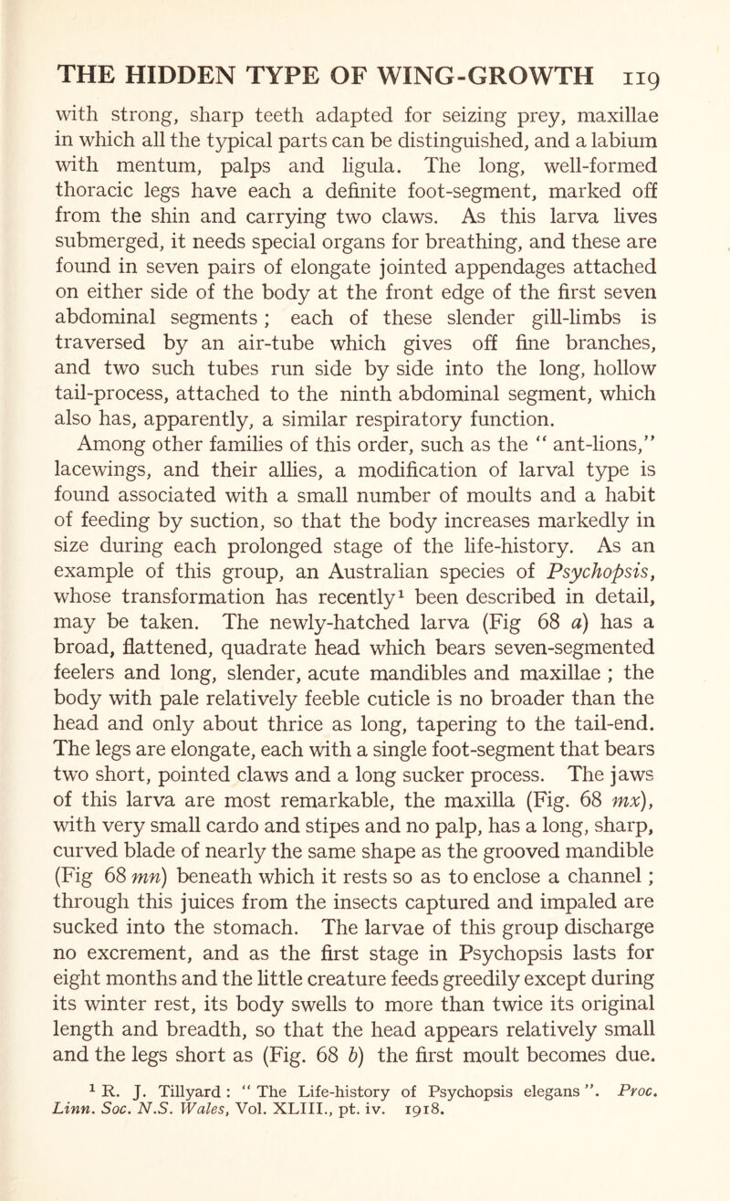 with strong, sharp teeth adapted for seizing prey, maxillae in which all the typical parts can be distinguished, and a labium with mentum, palps and ligula. The long, well-formed thoracic legs have each a definite foot-segment, marked off from the shin and carrying two claws. As this larva lives submerged, it needs special organs for breathing, and these are found in seven pairs of elongate jointed appendages attached on either side of the body at the front edge of the first seven abdominal segments; each of these slender gill-limbs is traversed by an air-tube which gives off fine branches, and two such tubes run side by side into the long, hollow tail-process, attached to the ninth abdominal segment, which also has, apparently, a similar respiratory function. Among other families of this order, such as the “ ant-lions,’' lacewings, and their allies, a modification of larval type is found associated with a small number of moults and a habit of feeding by suction, so that the body increases markedly in size during each prolonged stage of the life-history. As an example of this group, an Australian species of Psychopsis, whose transformation has recently^ been described in detail, may be taken. The newly-hatched larva (Fig 68 a) has a broad, flattened, quadrate head which bears seven-segmented feelers and long, slender, acute mandibles and maxillae ; the body with pale relatively feeble cuticle is no broader than the head and only about thrice as long, tapering to the tail-end. The legs are elongate, each with a single foot-segment that bears two short, pointed claws and a long sucker process. The jaws of this larva are most remarkable, the maxilla (Fig. 68 mx), with very small cardo and stipes and no palp, has a long, sharp, curved blade of nearly the same shape as the grooved mandible (Fig 68 mn) beneath which it rests so as to enclose a channel; through this juices from the insects captured and impaled are sucked into the stomach. The larvae of this group discharge no excrement, and as the first stage in Psychopsis lasts for eight months and the little creature feeds greedily except during its winter rest, its body swells to more than twice its original length and breadth, so that the head appears relatively small and the legs short as (Fig. 68 h) the first moult becomes due. ^ R. J. Tillyard : “ The Life-history of Psychopsis elegans Proc. Linn. Soc. N.S. Wales, Vol. XLIII., pt. iv. 1918.